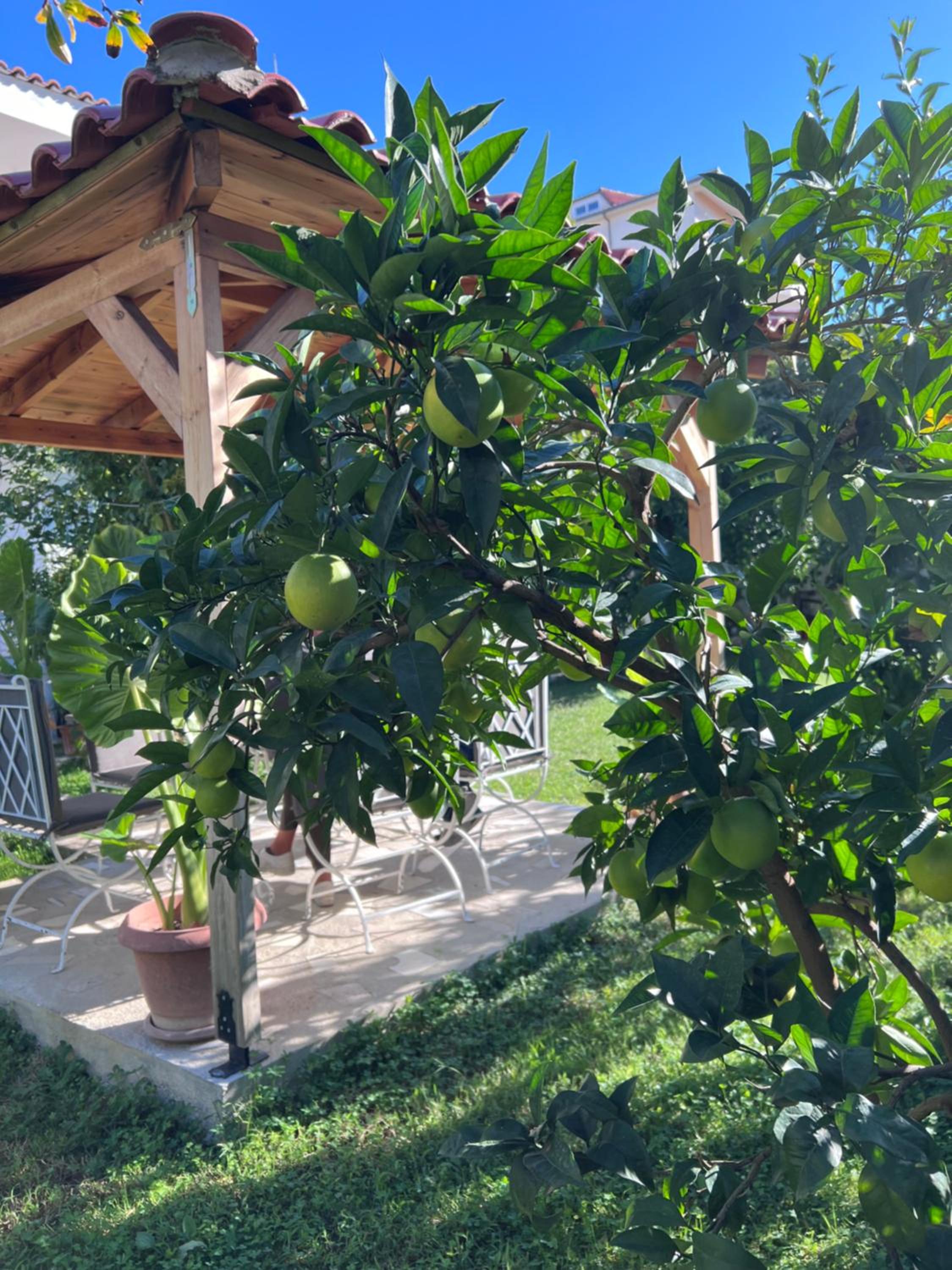 White Star Villa - Studio Apartments with Parking