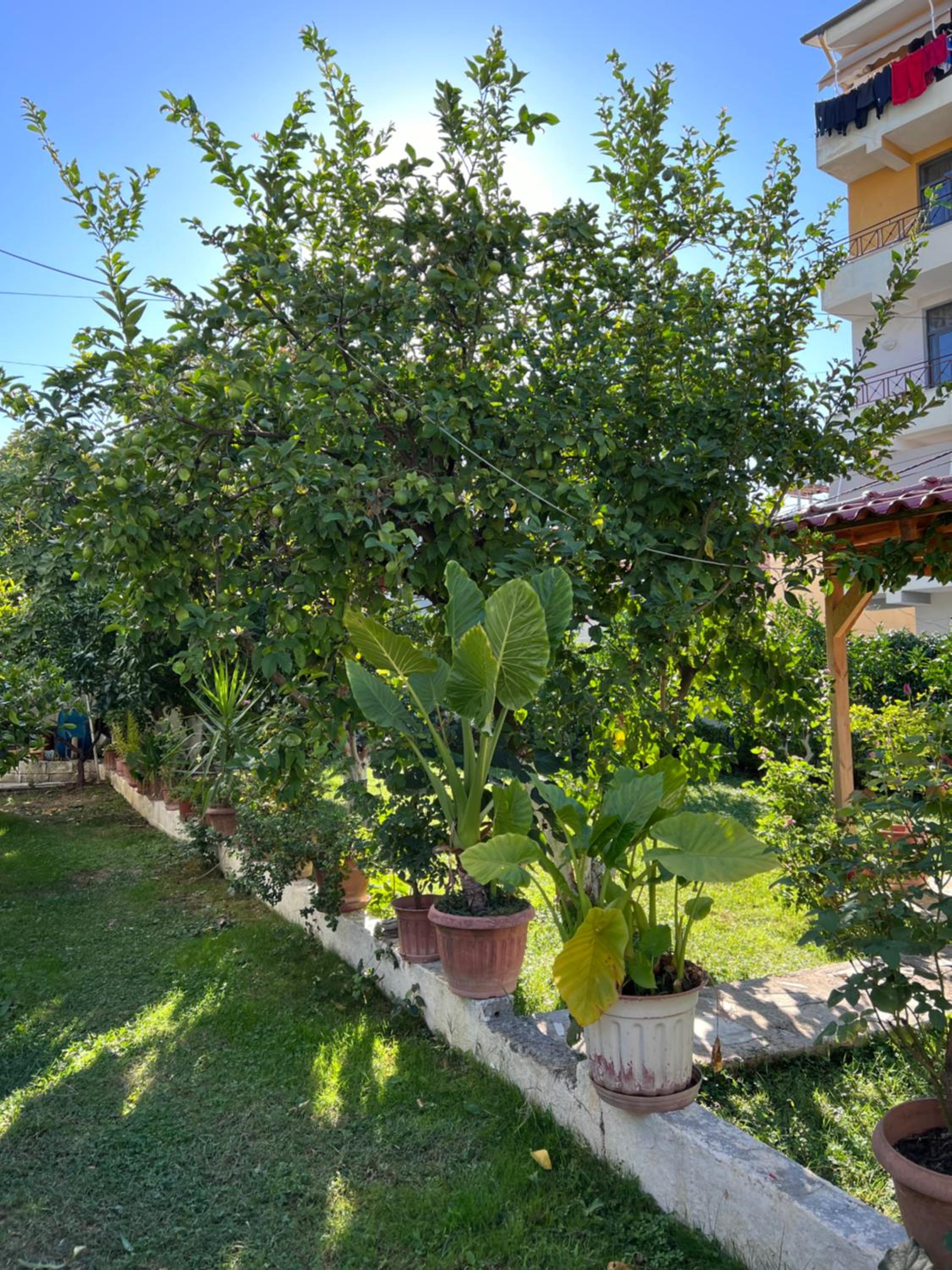 White Star Villa - Studio Apartments with Parking