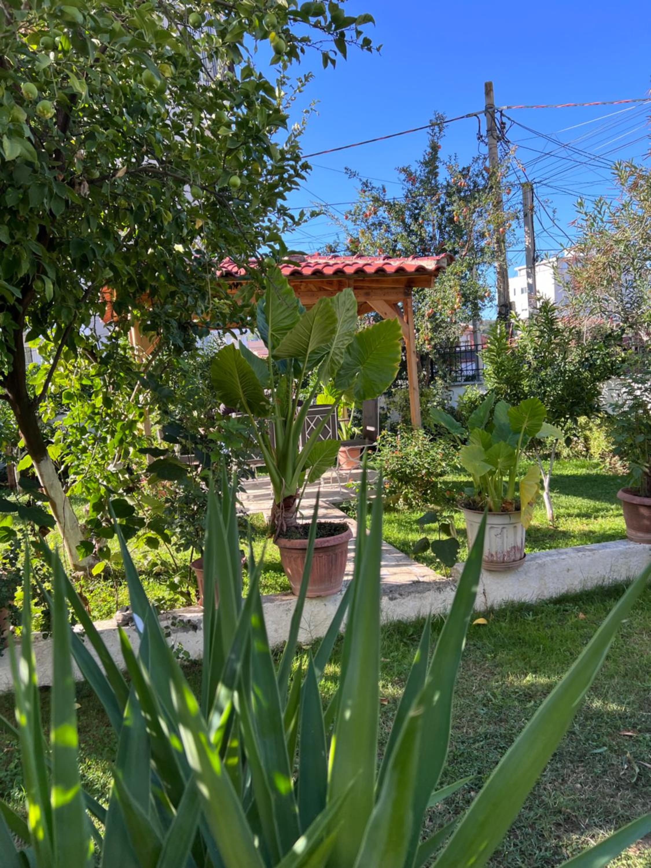 White Star Villa - Studio Apartments with Parking