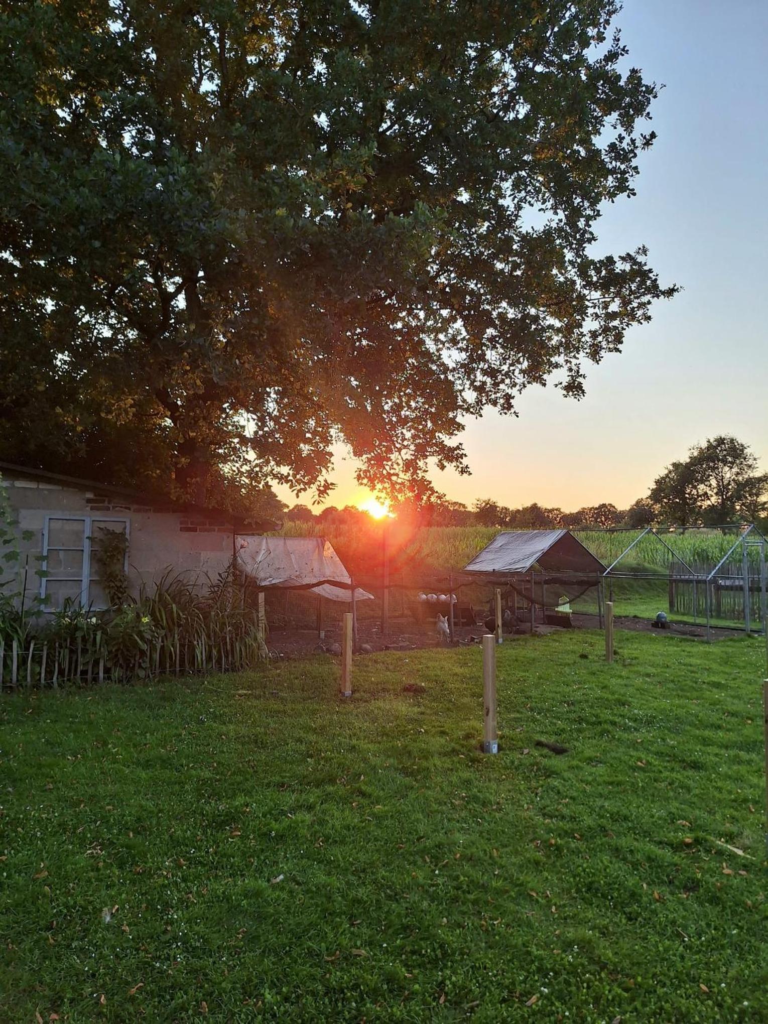 Geest Cottage