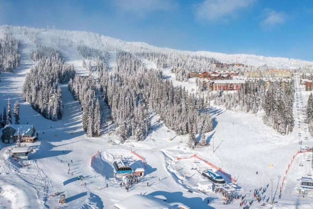 Treetop Getaway, Ski In and Out, Sleeps 10