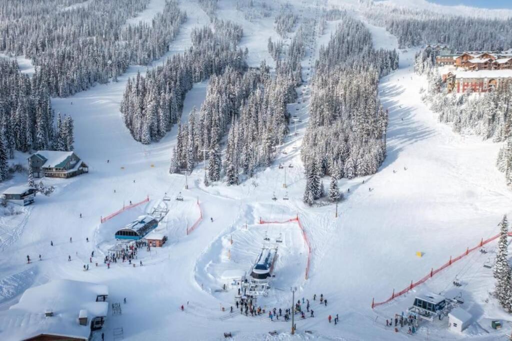 Treetop Getaway, Ski In and Out, Sleeps 10