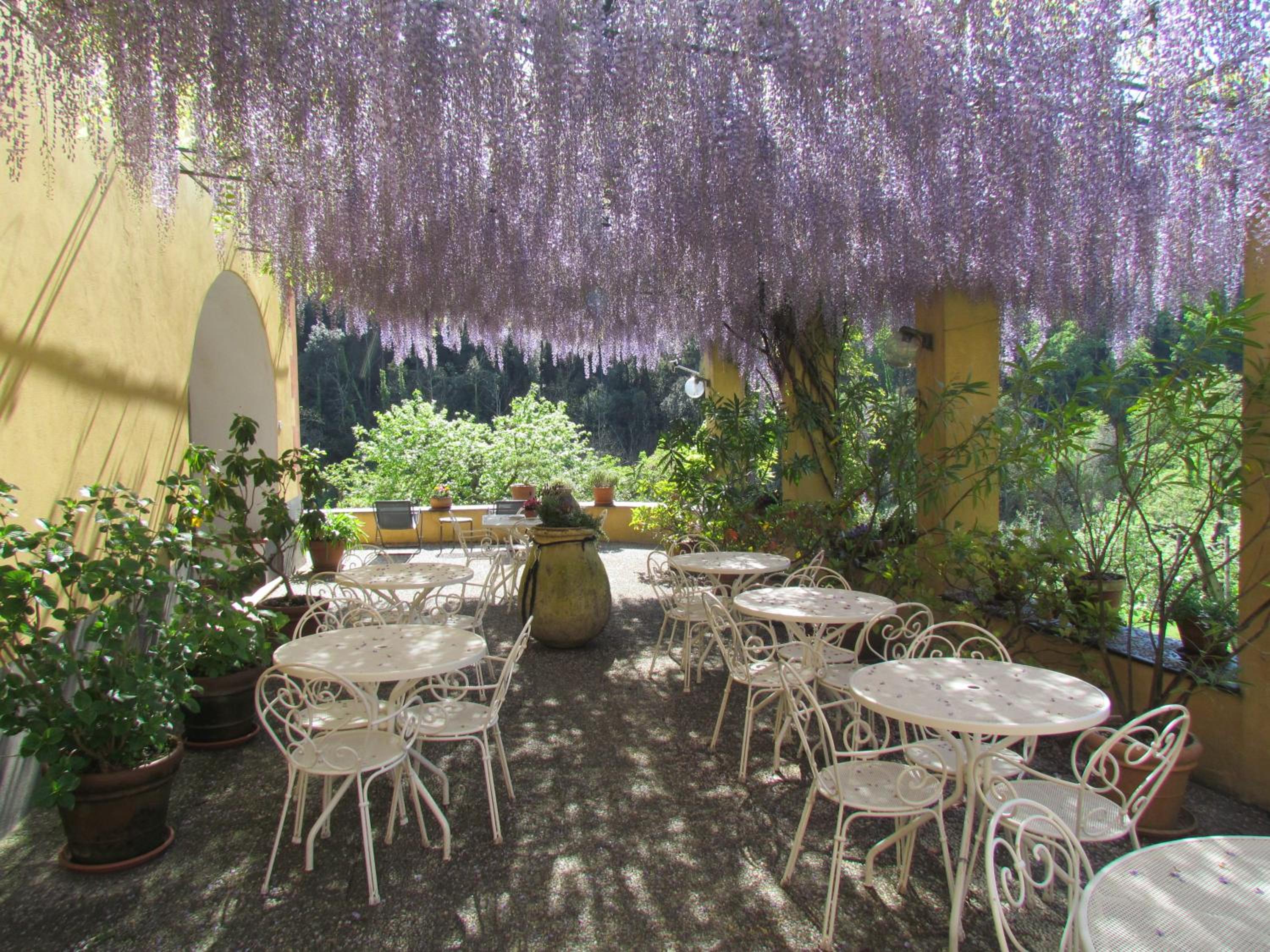 Villanova Apartments - Nature & Wellness