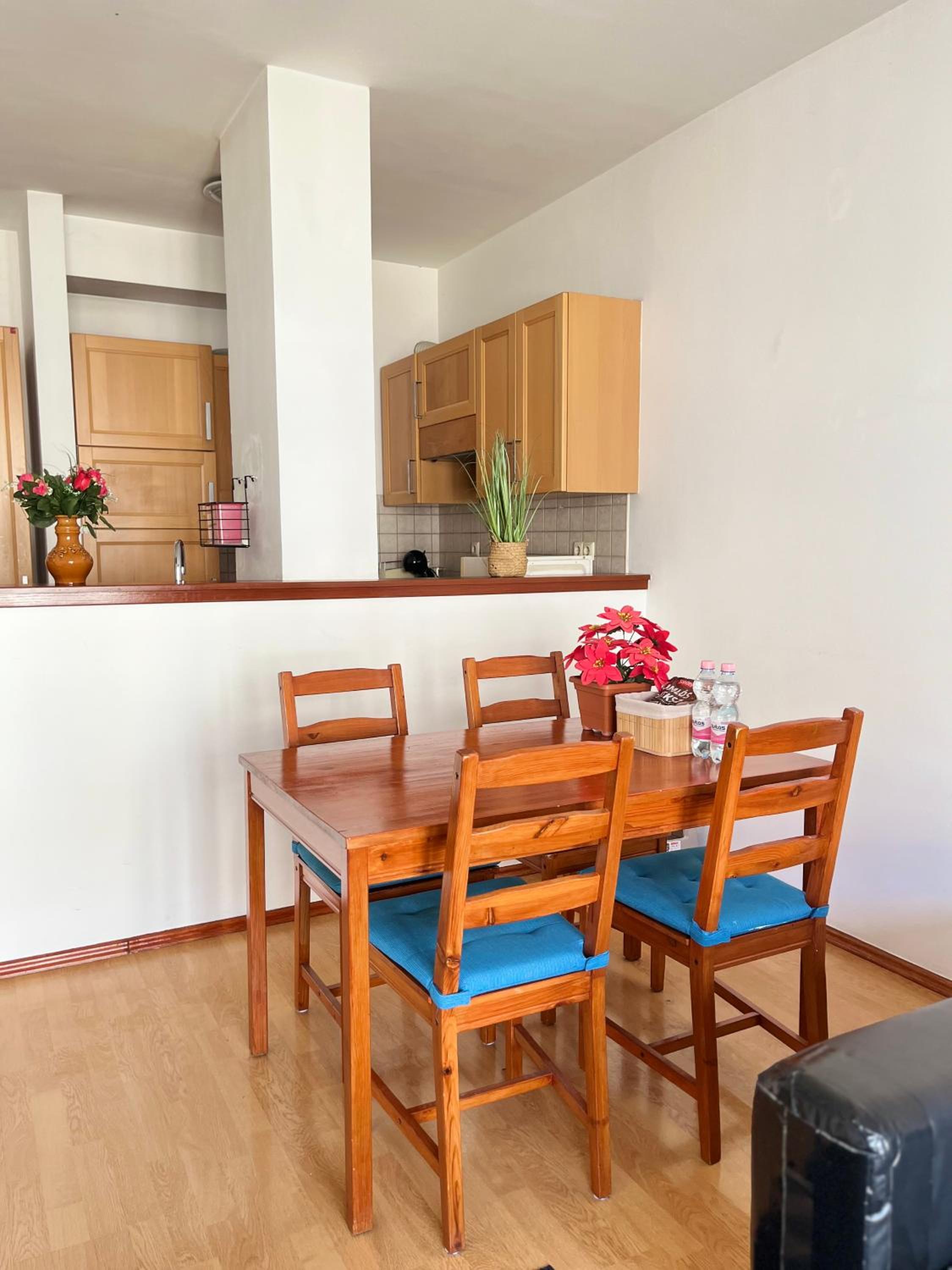 Central apartment nearby Keleti Station