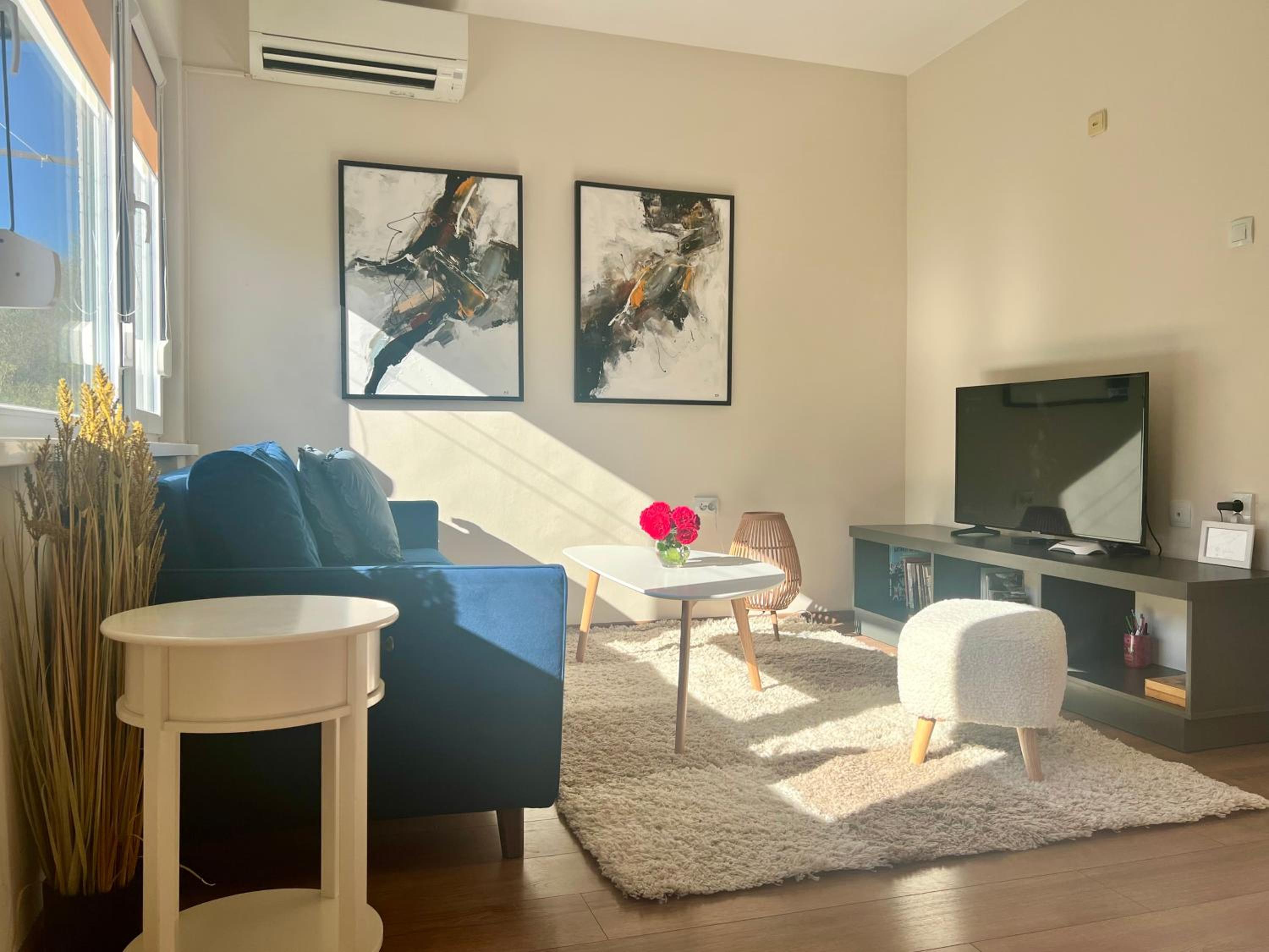 Venus Apartment