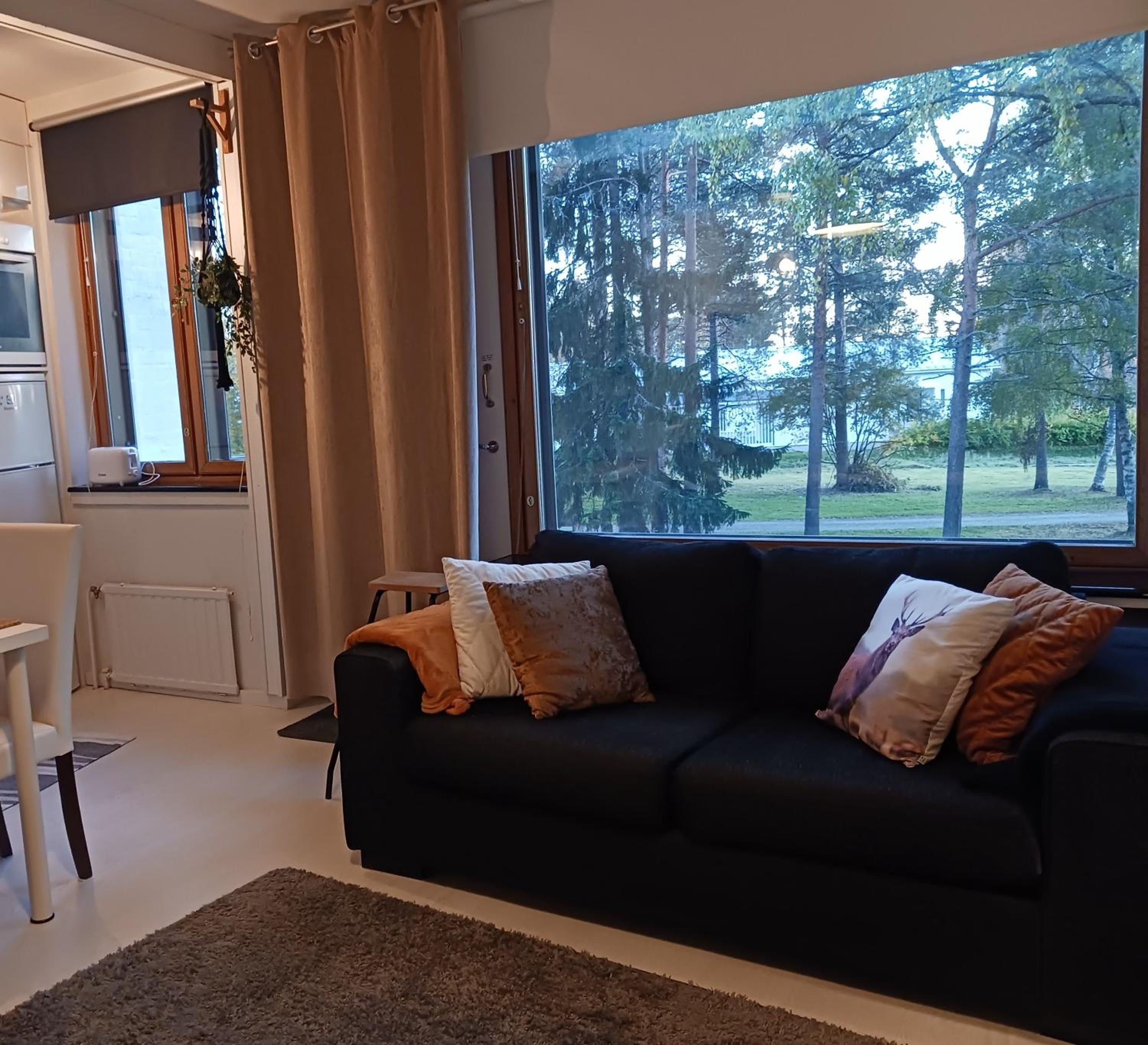 Studio Apartment 31m2 view 2