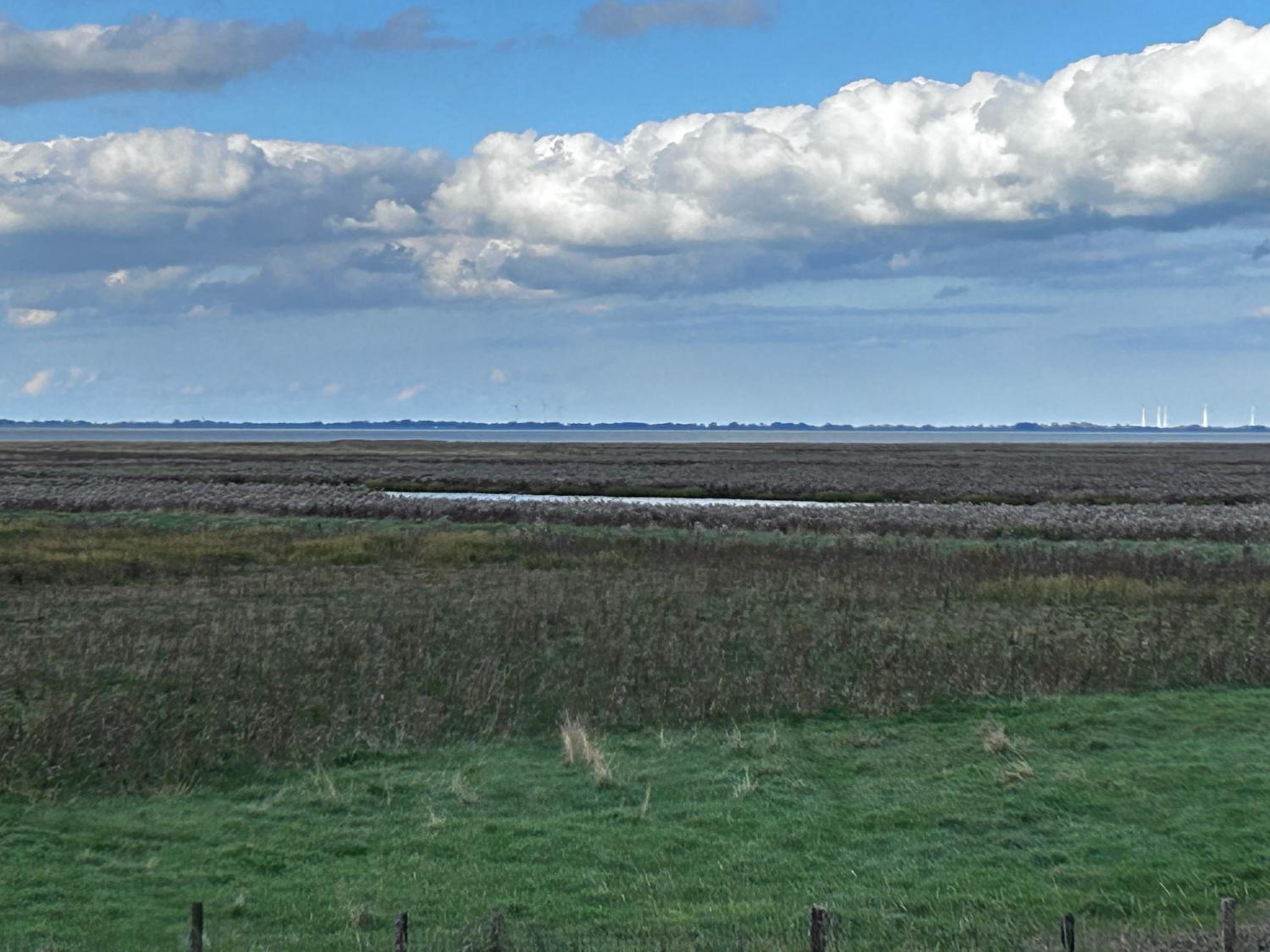 Lykke Huus Tinyhaus an der Nordsee mit Fasssauna