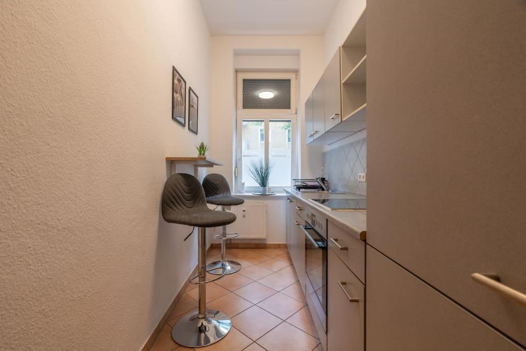 zentrales gemütliches Apartment in der Südvorstadt