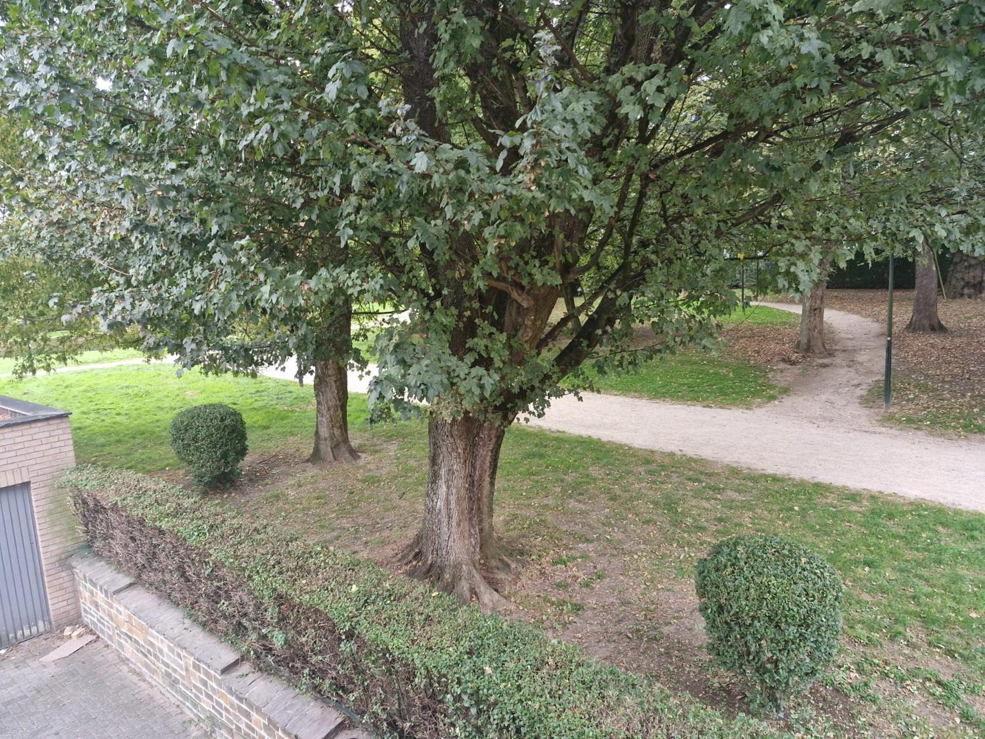 Luxe Bruxelles