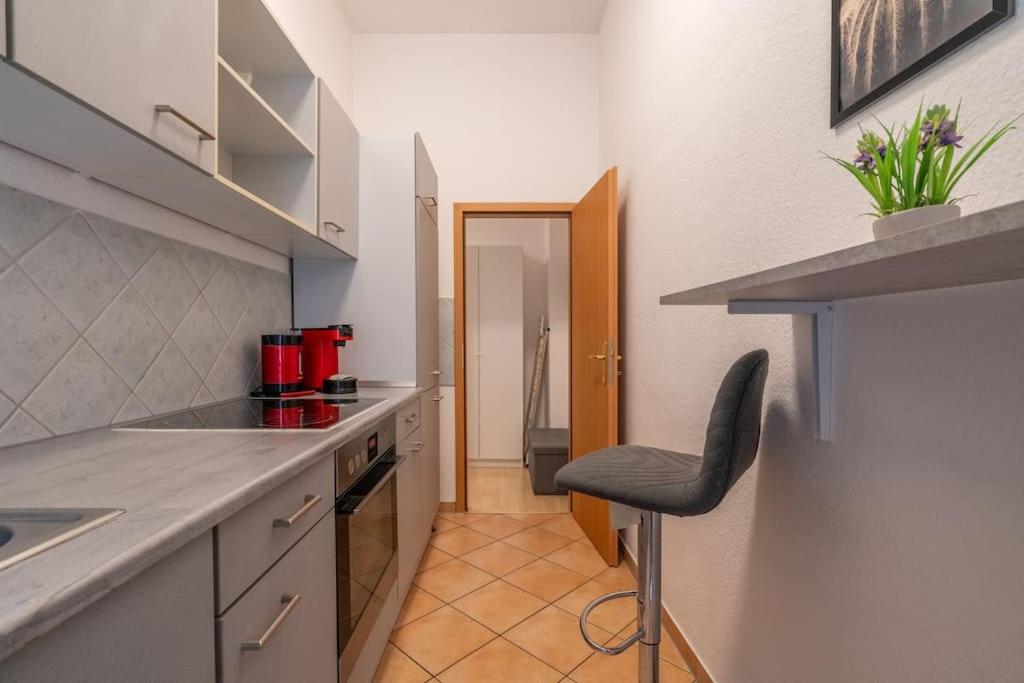 zentrales gemütliches Apartment in der Südvorstadt