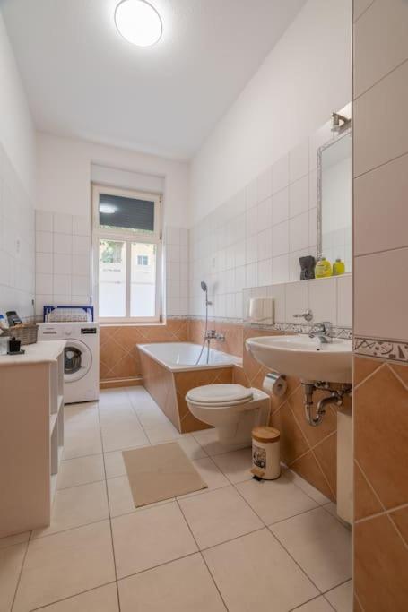 zentrales gemütliches Apartment in der Südvorstadt