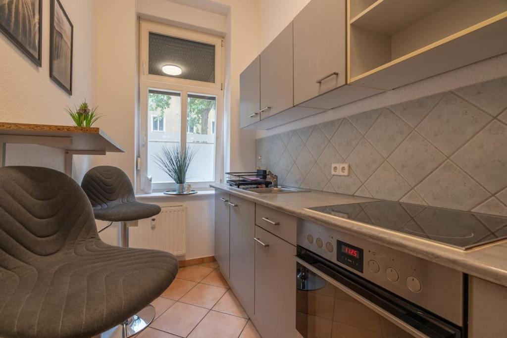 zentrales gemütliches Apartment in der Südvorstadt