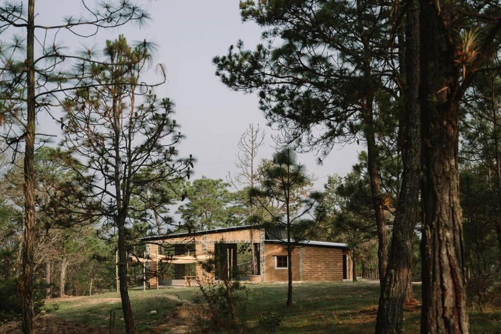 HE-001 Perfect Cozy Villa, photo 29