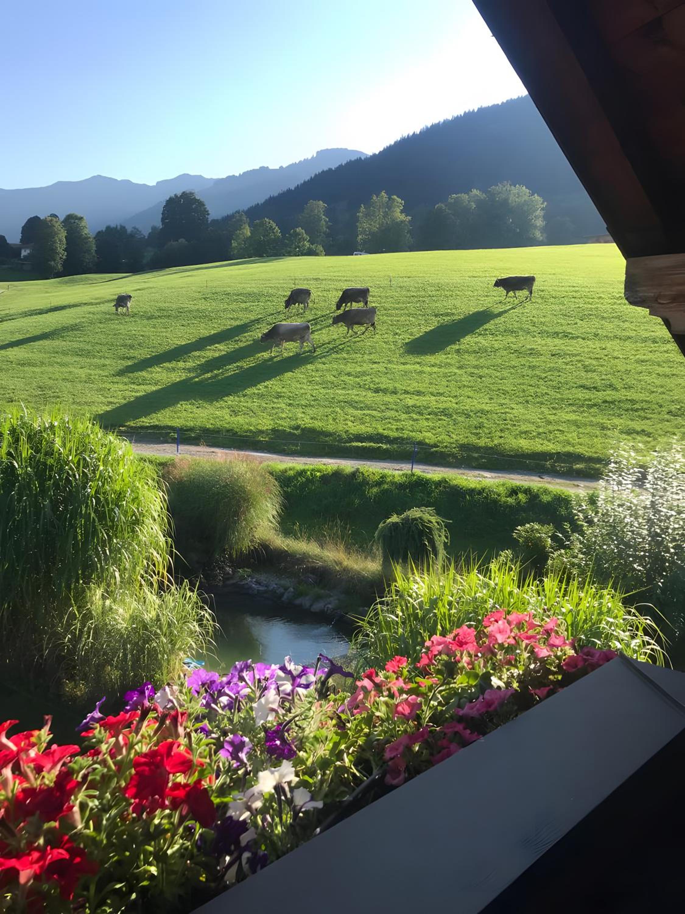 Ferienwohnung Langeck