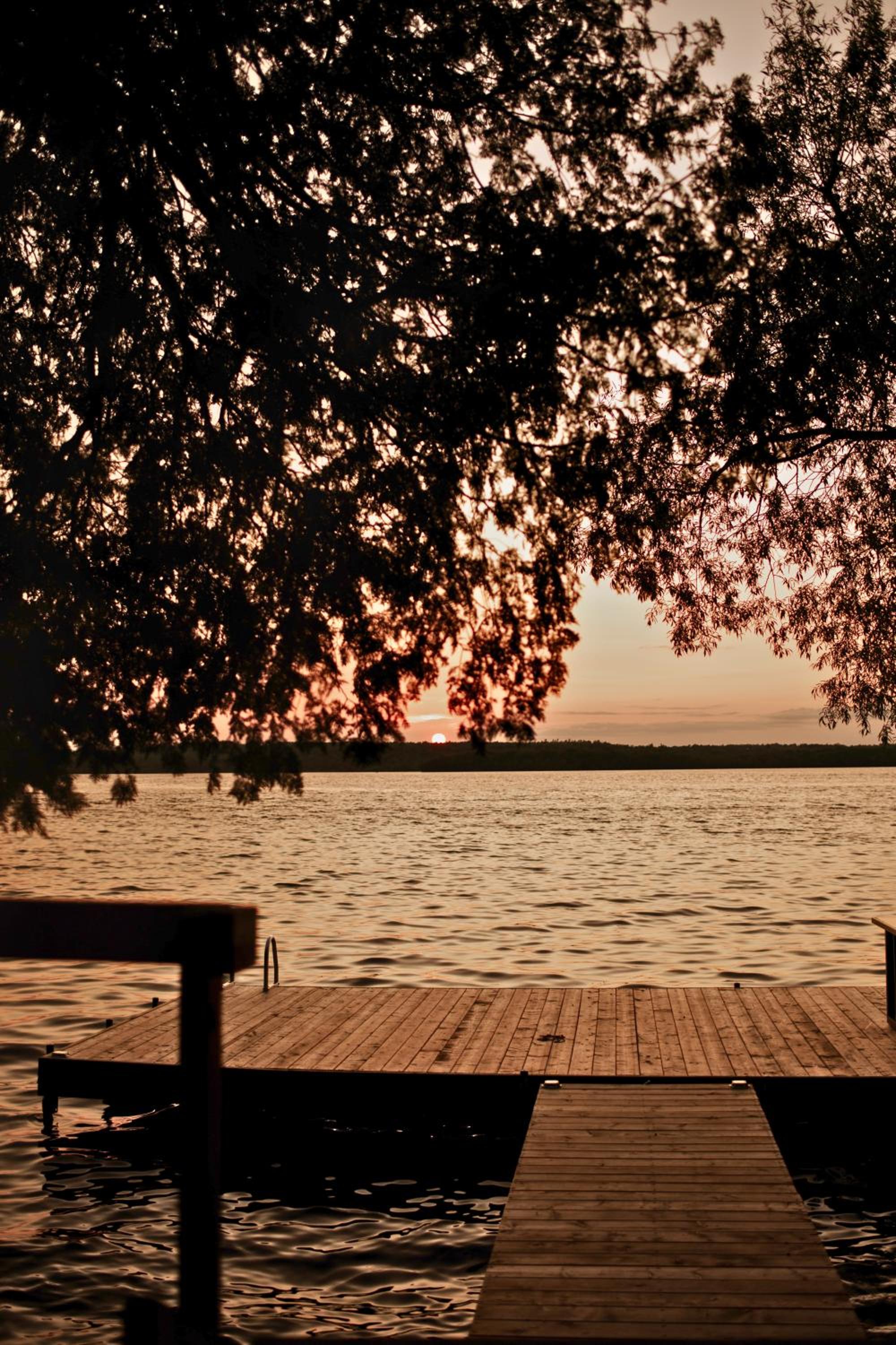 Rice Lake Treehouse