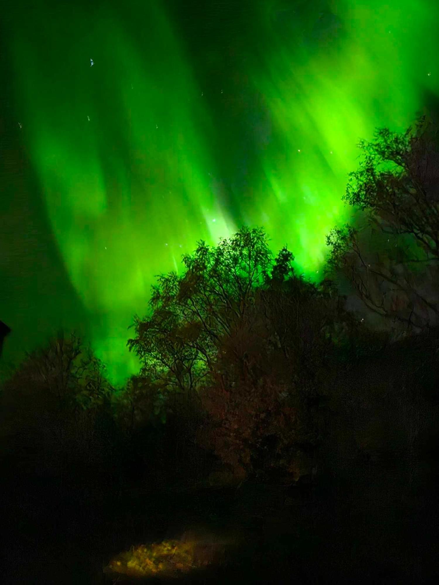 Enebolig med Eventyrlig beliggenhet like ved sjøen i Lofoten view 5