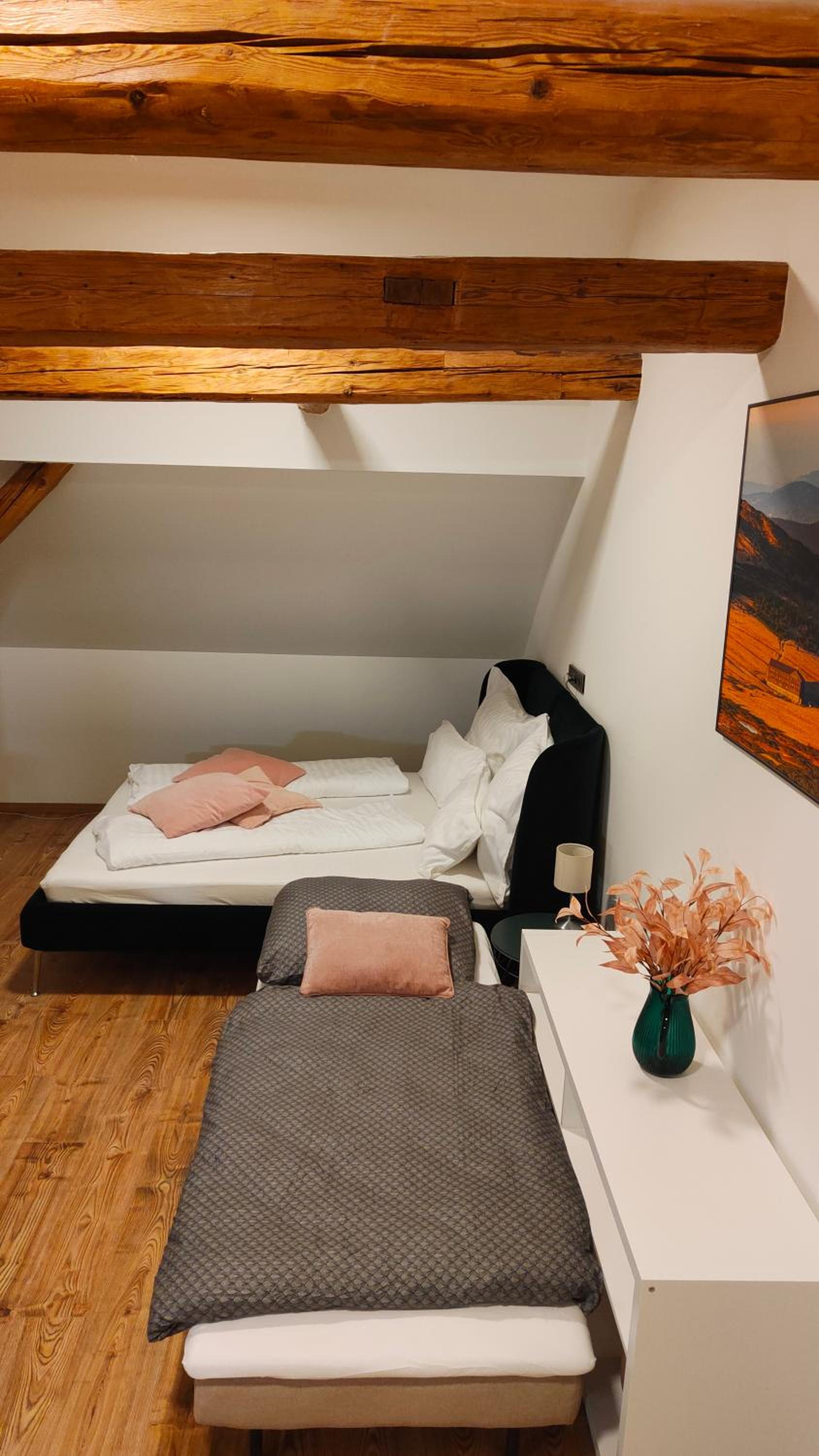 Apartmán v podhůří Krkonoš