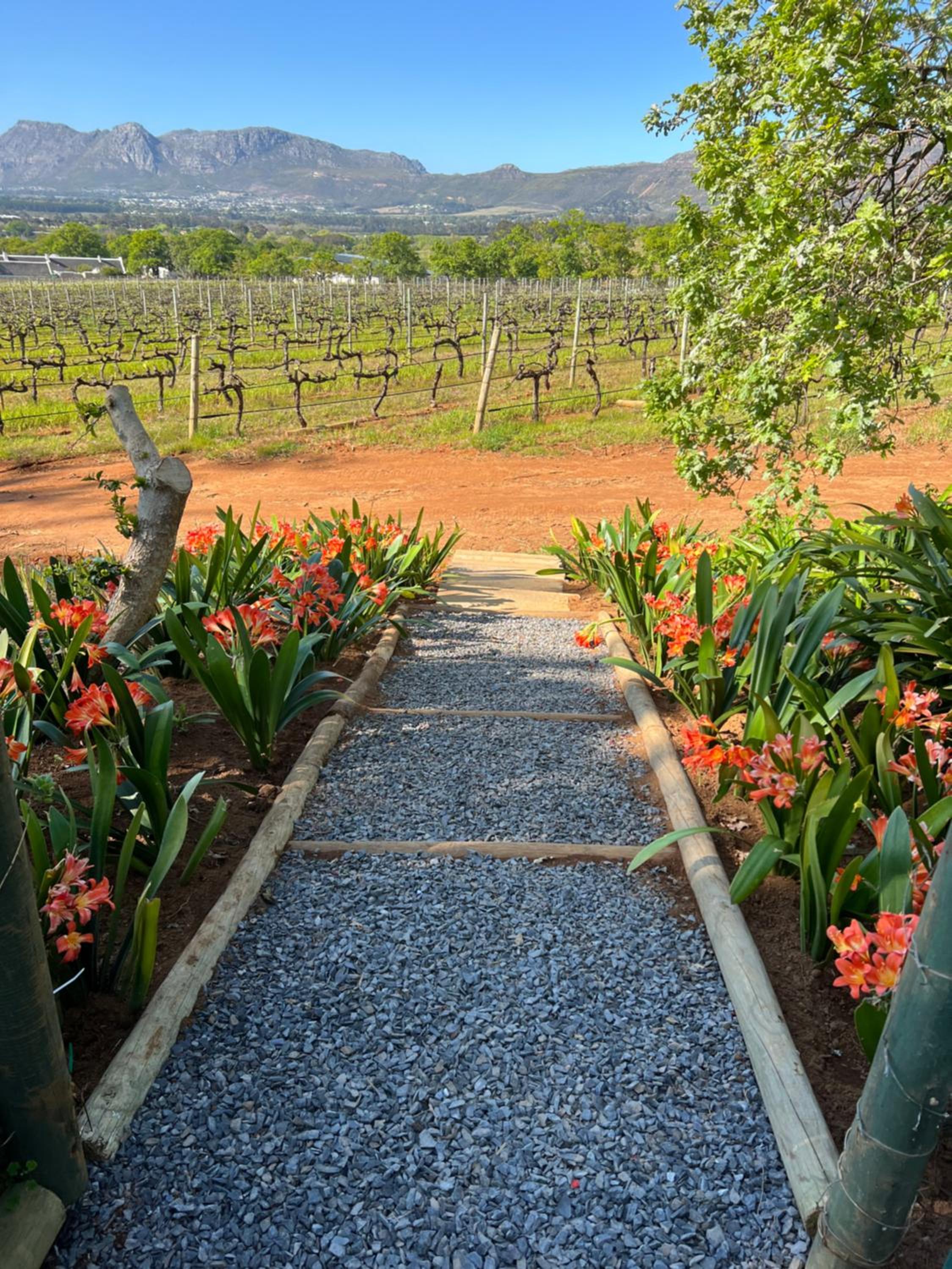 Cute one bedroom garden cottage - Wonderful views, Vineyard access, tranquil garden