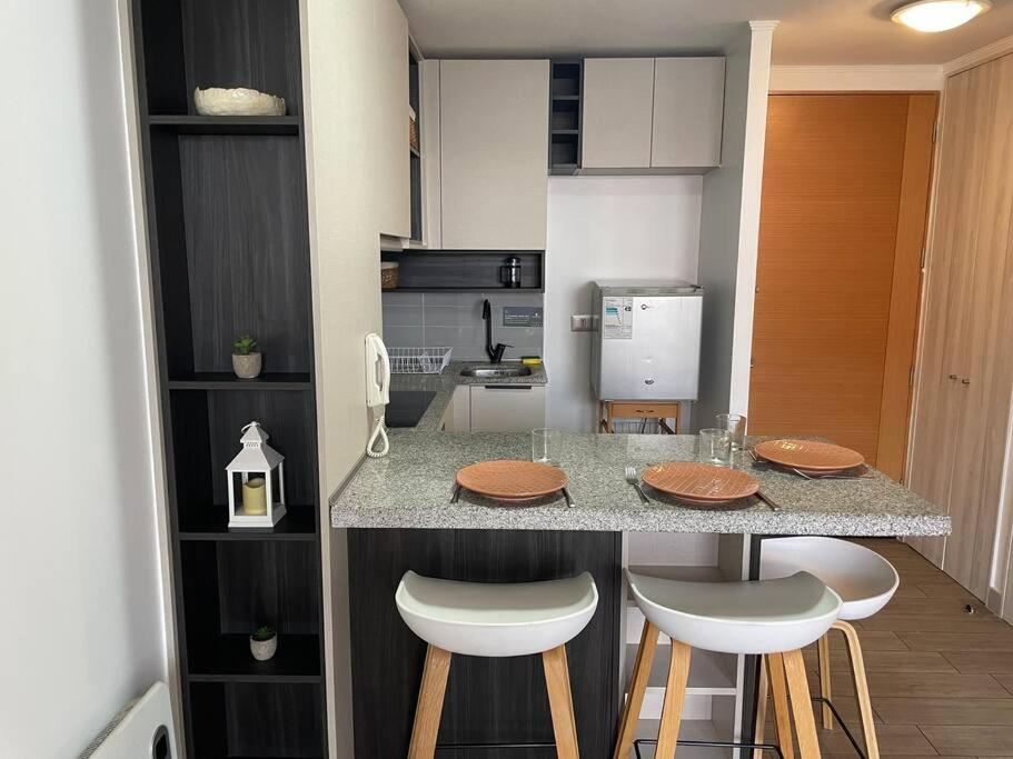 Departamento Renovado Cercano a Parque O'Higgins