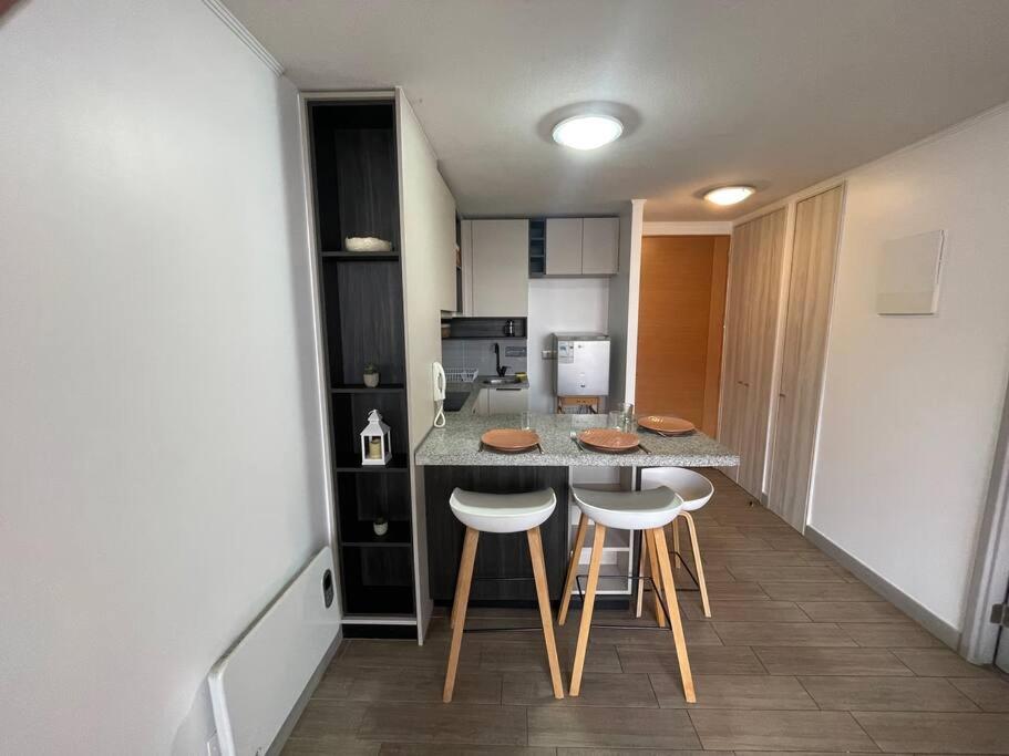 Departamento Renovado Cercano a Parque O'Higgins