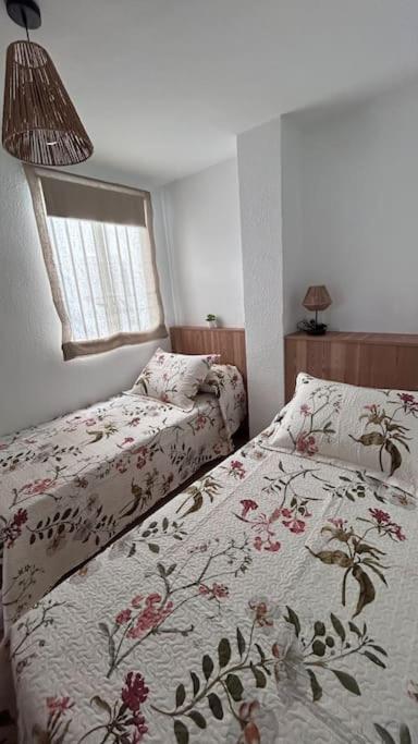 Apartamentos Cayetana