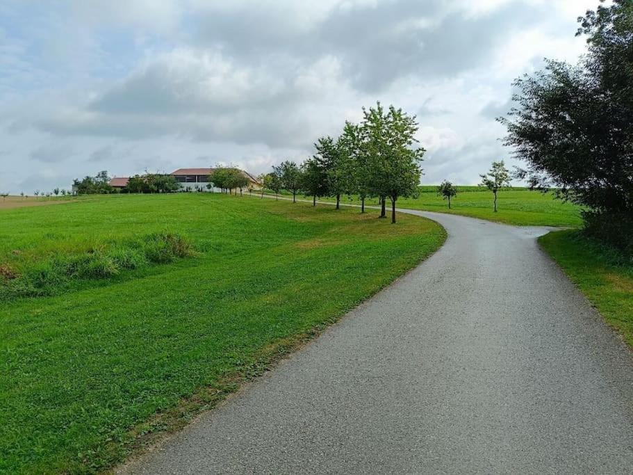 Ruhige Alleinlage am Bauernhof
