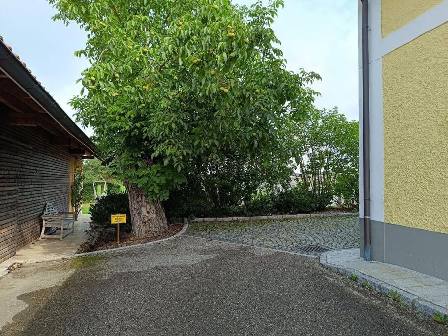 Ruhige Alleinlage am Bauernhof
