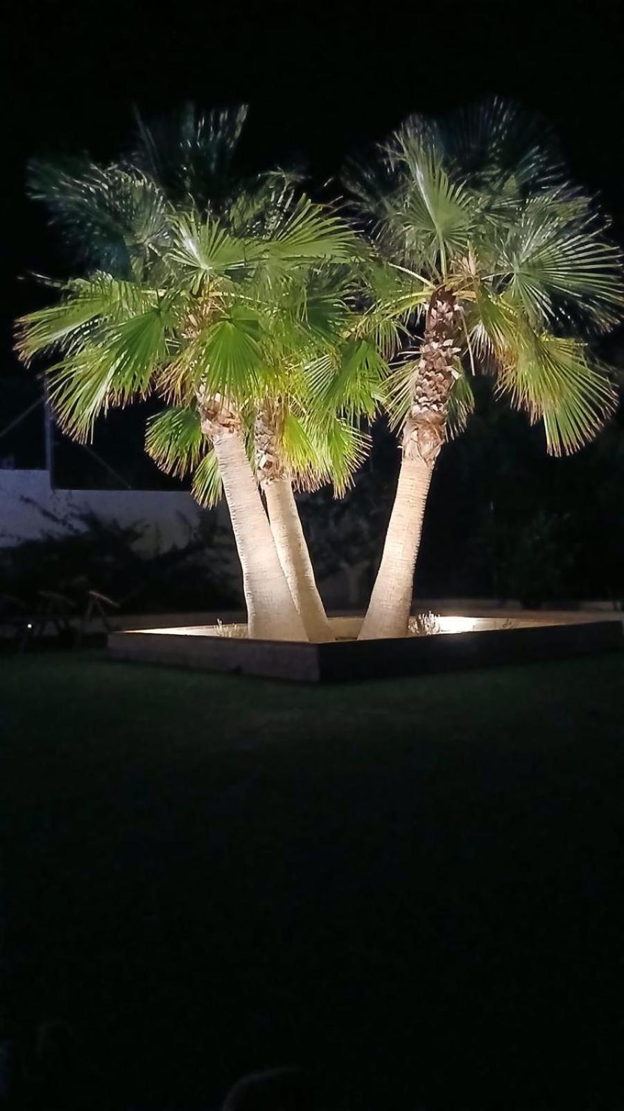 Villa con tres palmeras