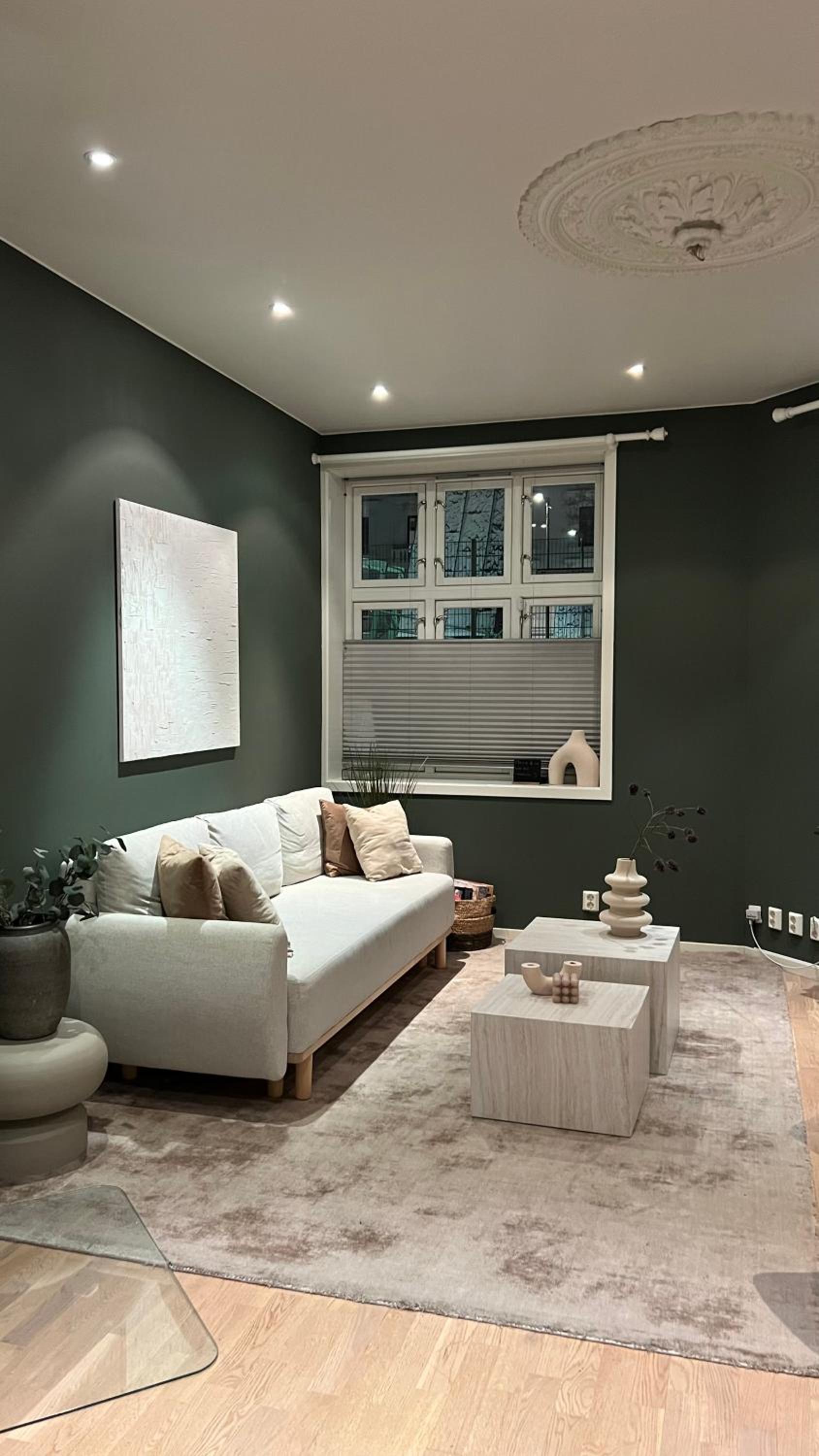 Cozy and comfortable flat in the heart of Oslo view 2