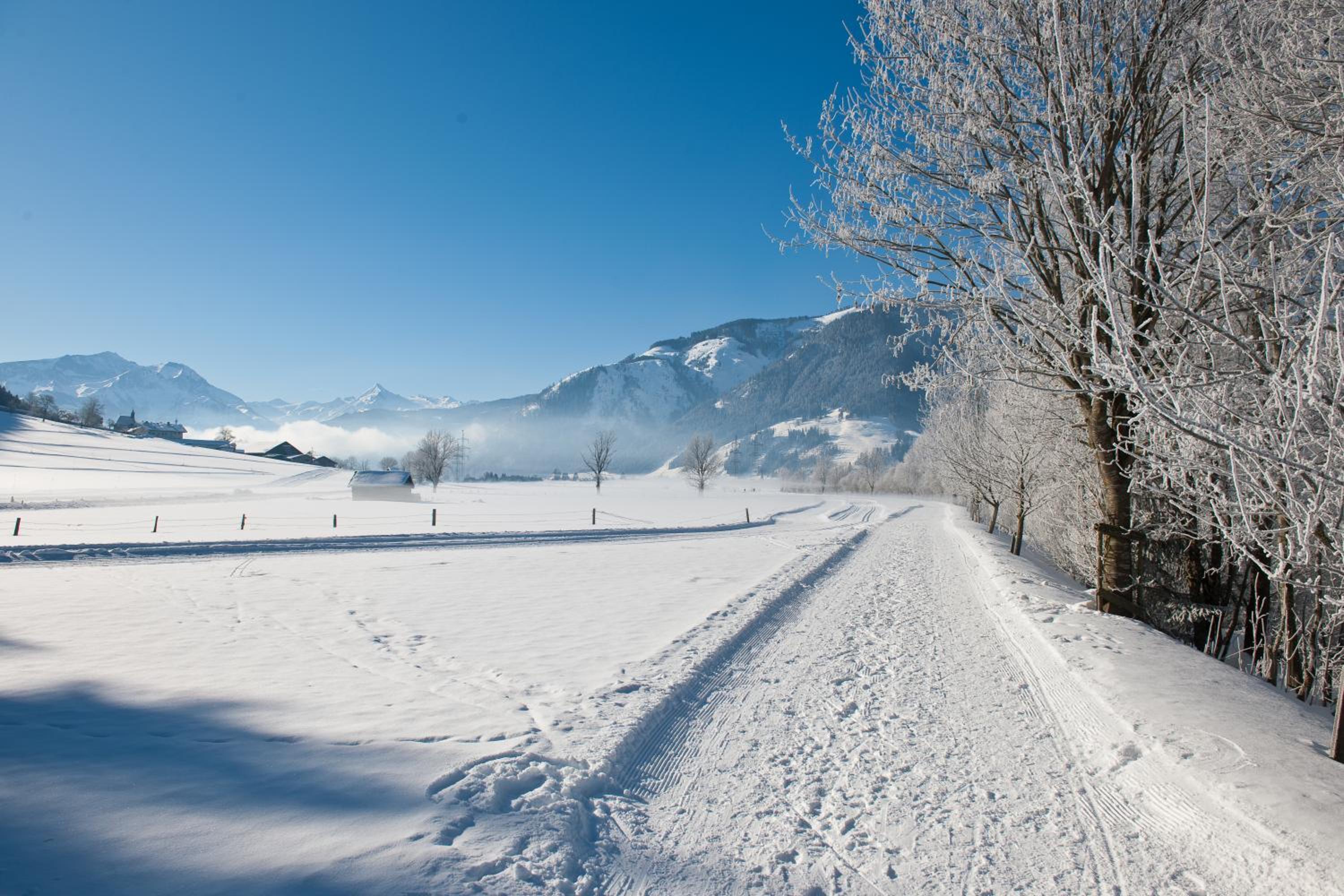 Chaletdorf ZellerSee