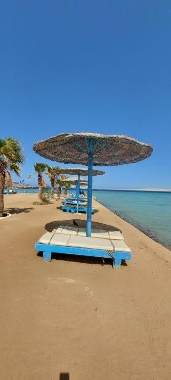 Egypt Traveler Hotel