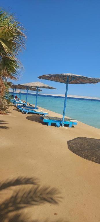 Egypt Traveler Hotel