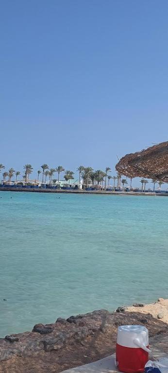Egypt Traveler Hotel