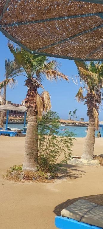Egypt Traveler Hotel