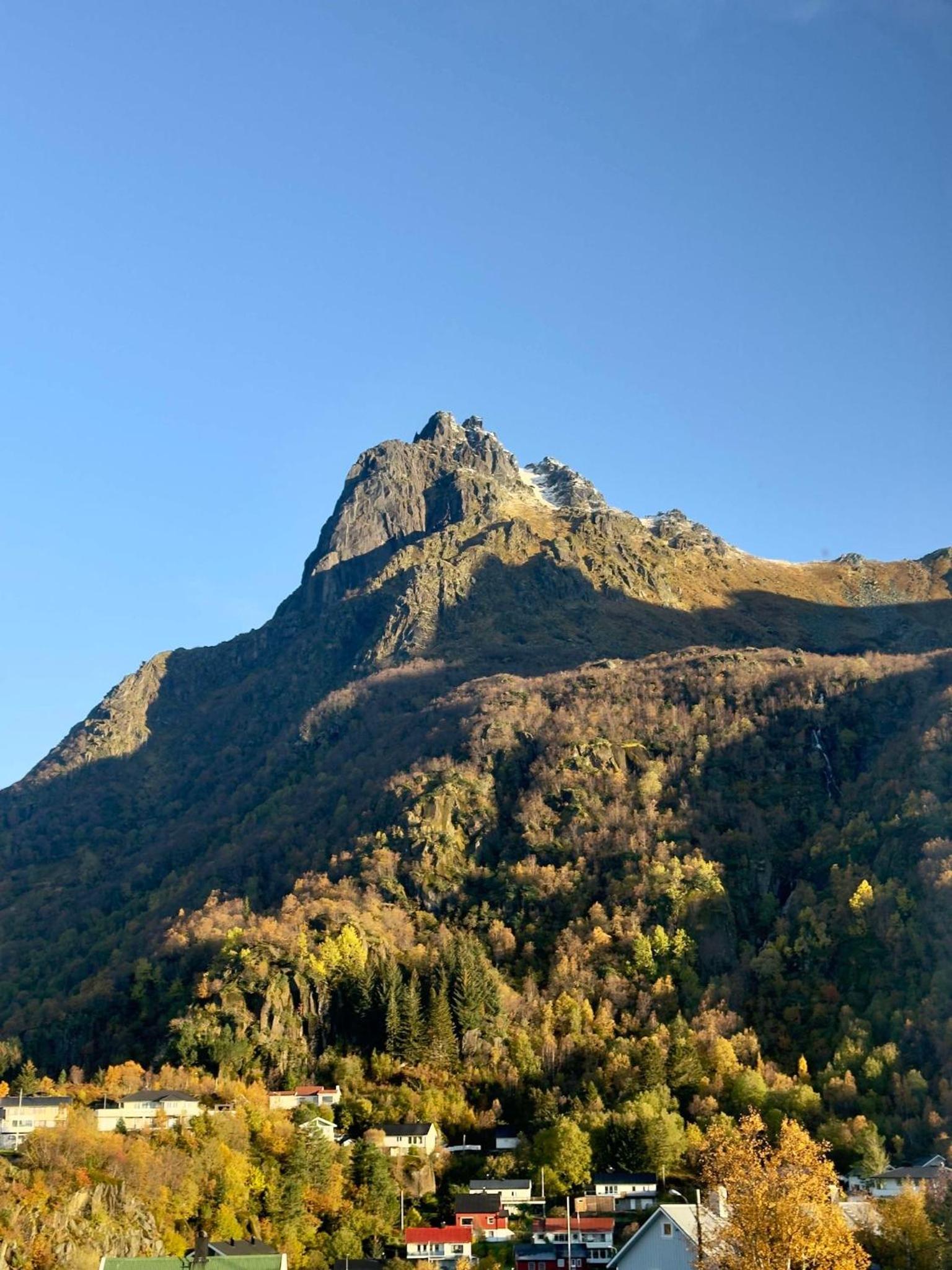 Photo 25