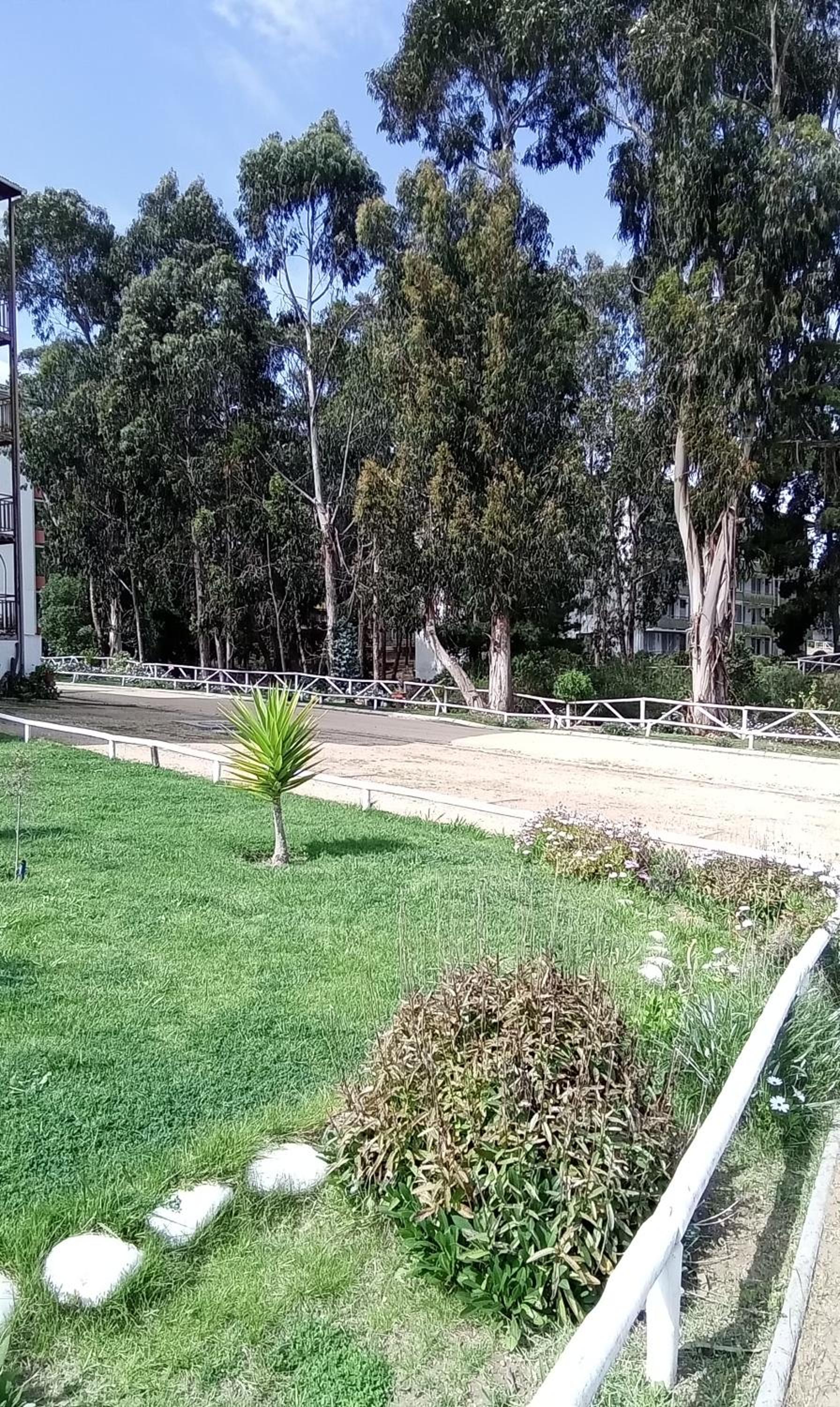 Departamento rodeado de Naturaleza y con una magnífica Tranquilidad y Seguridad