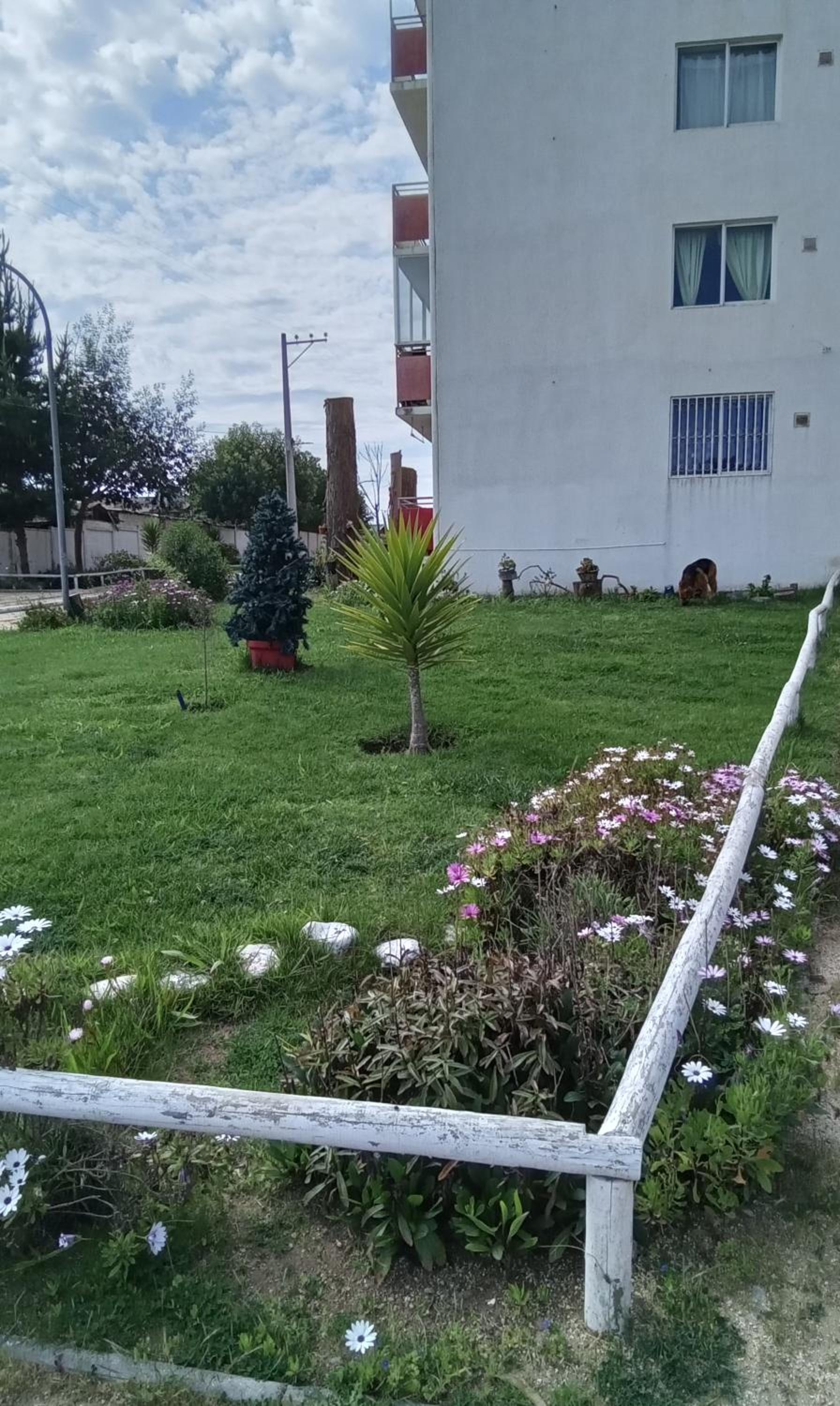 Departamento rodeado de Naturaleza y con una magnífica Tranquilidad y Seguridad