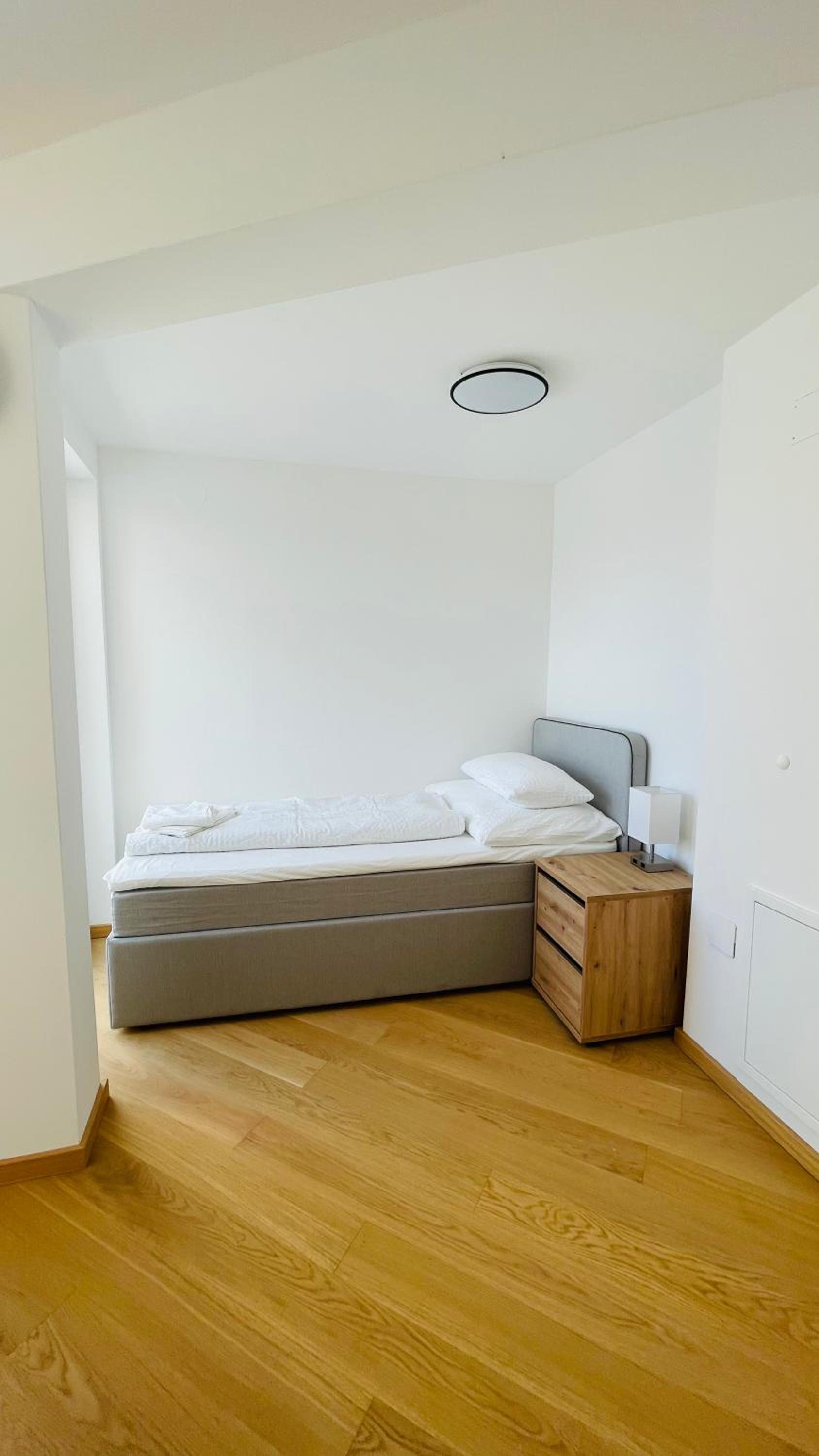 Spacious Penthouse Apartment - 4 rooms for up to 10 guests - contactless check-in