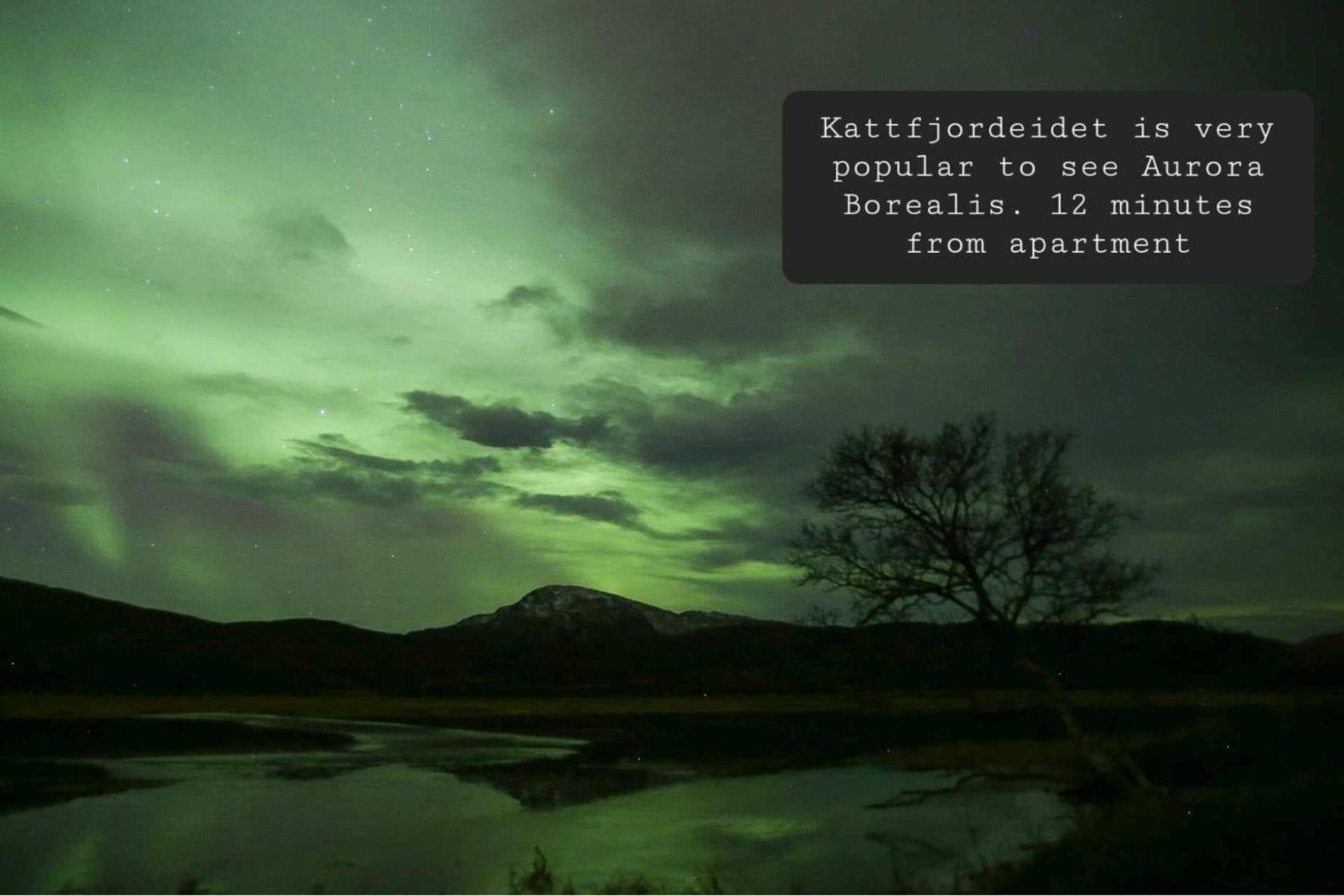 Norhern lights Luxus home -5 min AirPort-free park