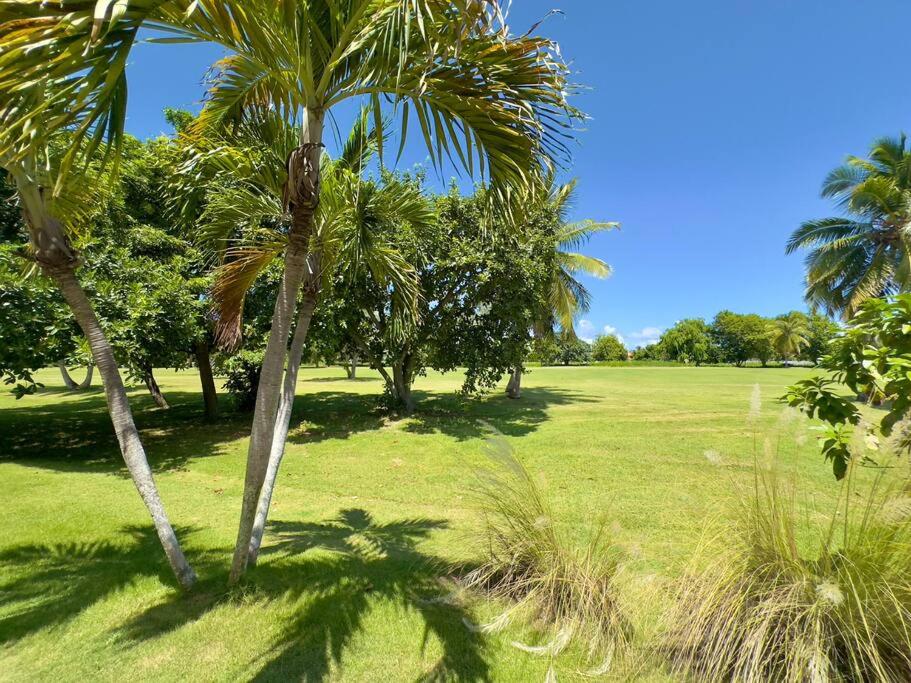 Chic Golf Apt In Cocotal,5 Min From The Beach view 4