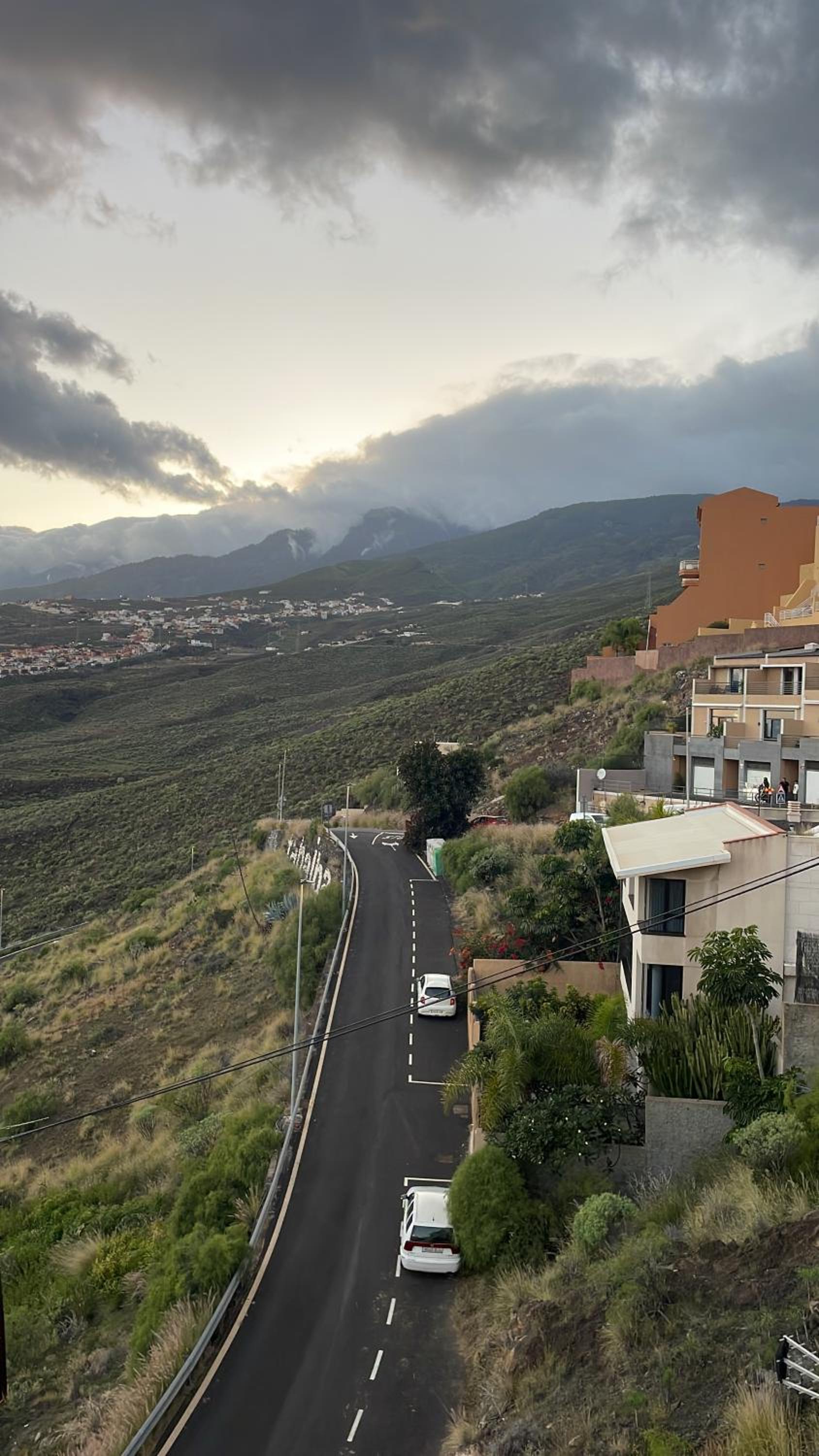 PANORAMIC Tabaiba