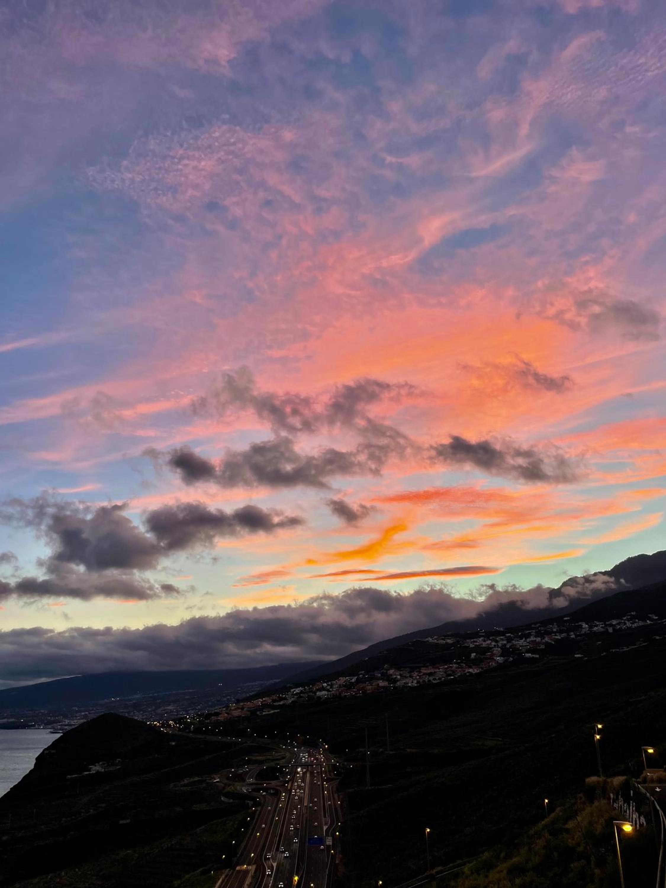 PANORAMIC Tabaiba