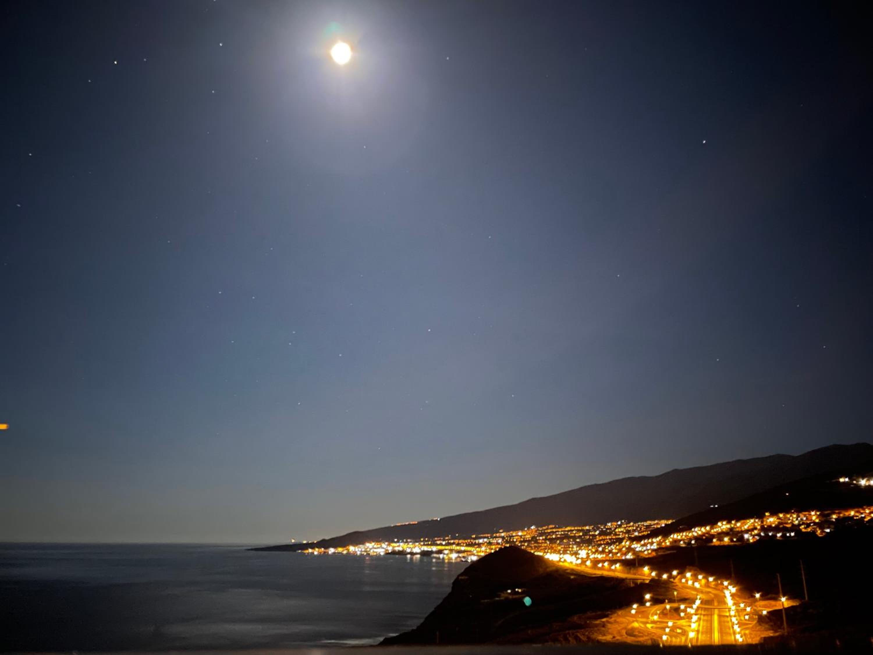 PANORAMIC Tabaiba
