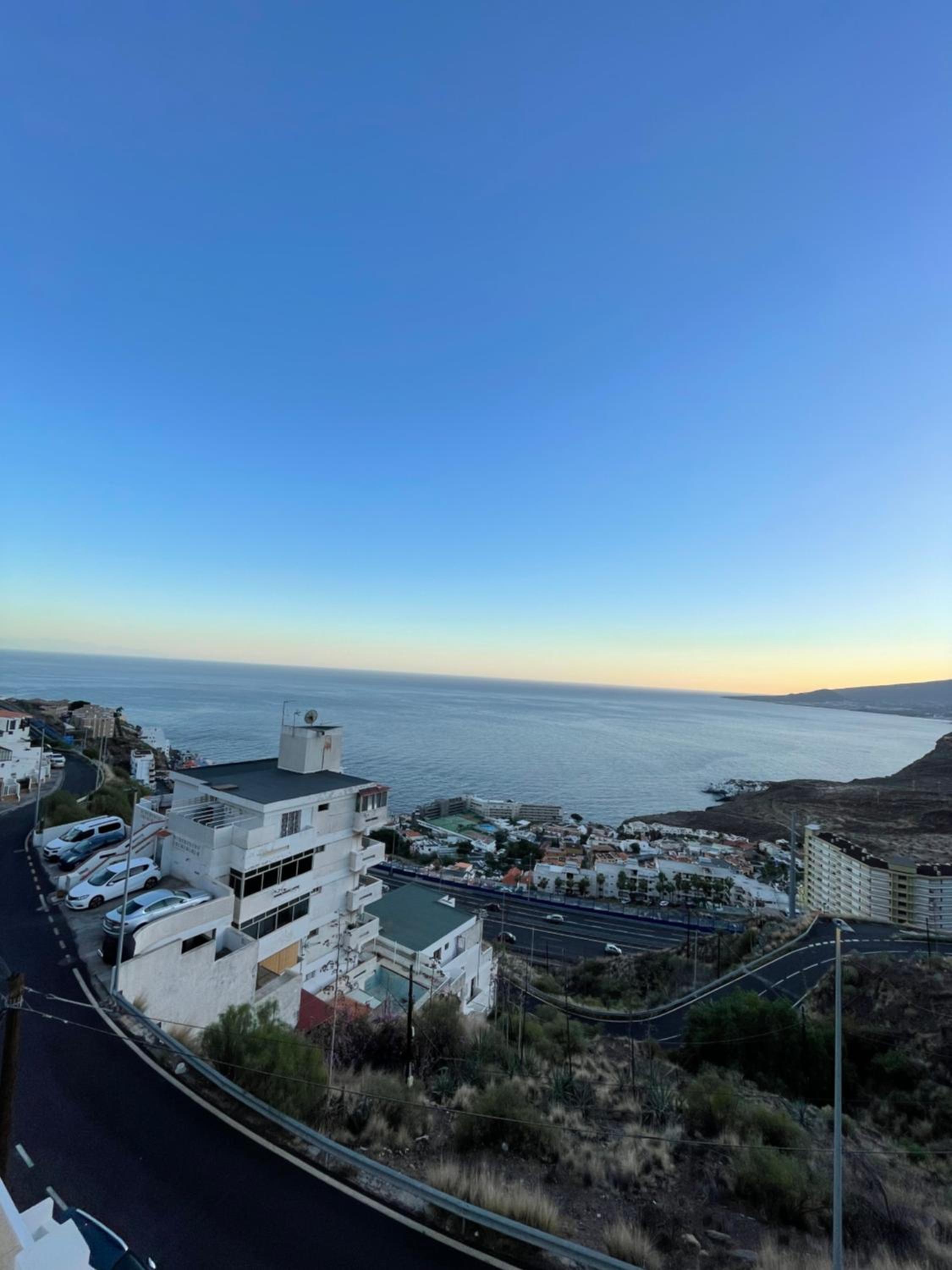 PANORAMIC Tabaiba