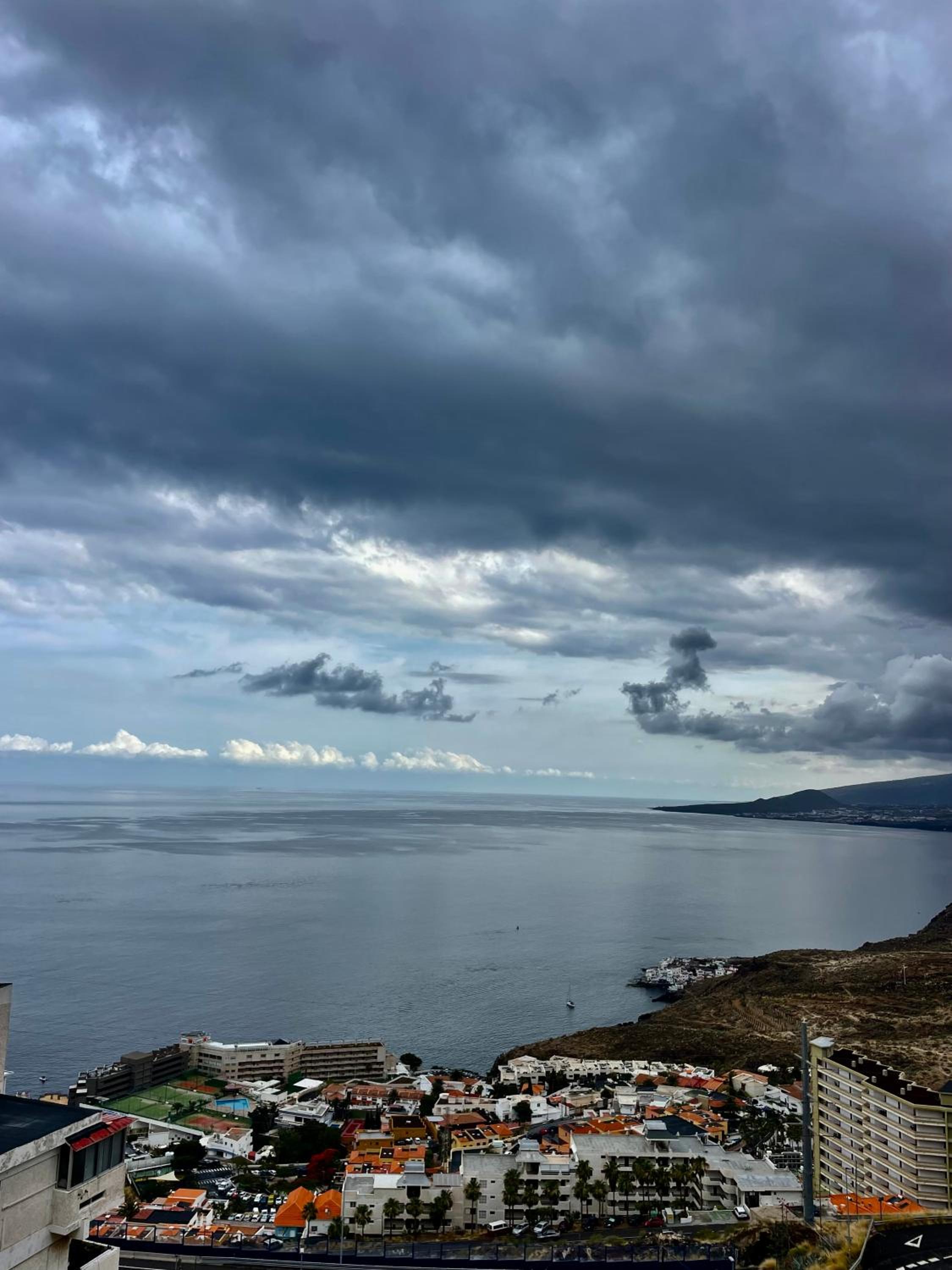 PANORAMIC Tabaiba