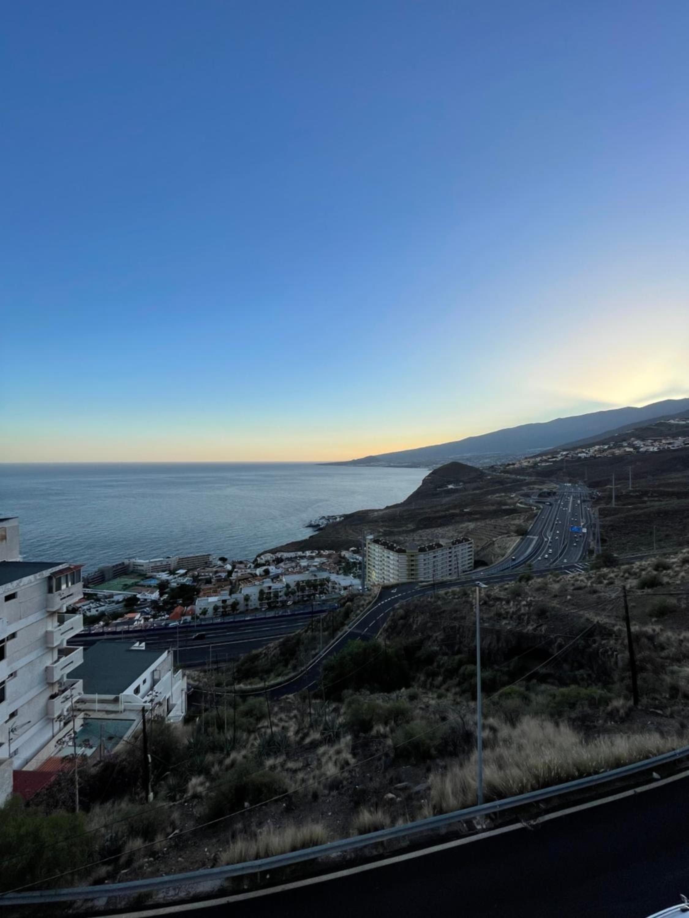 PANORAMIC Tabaiba