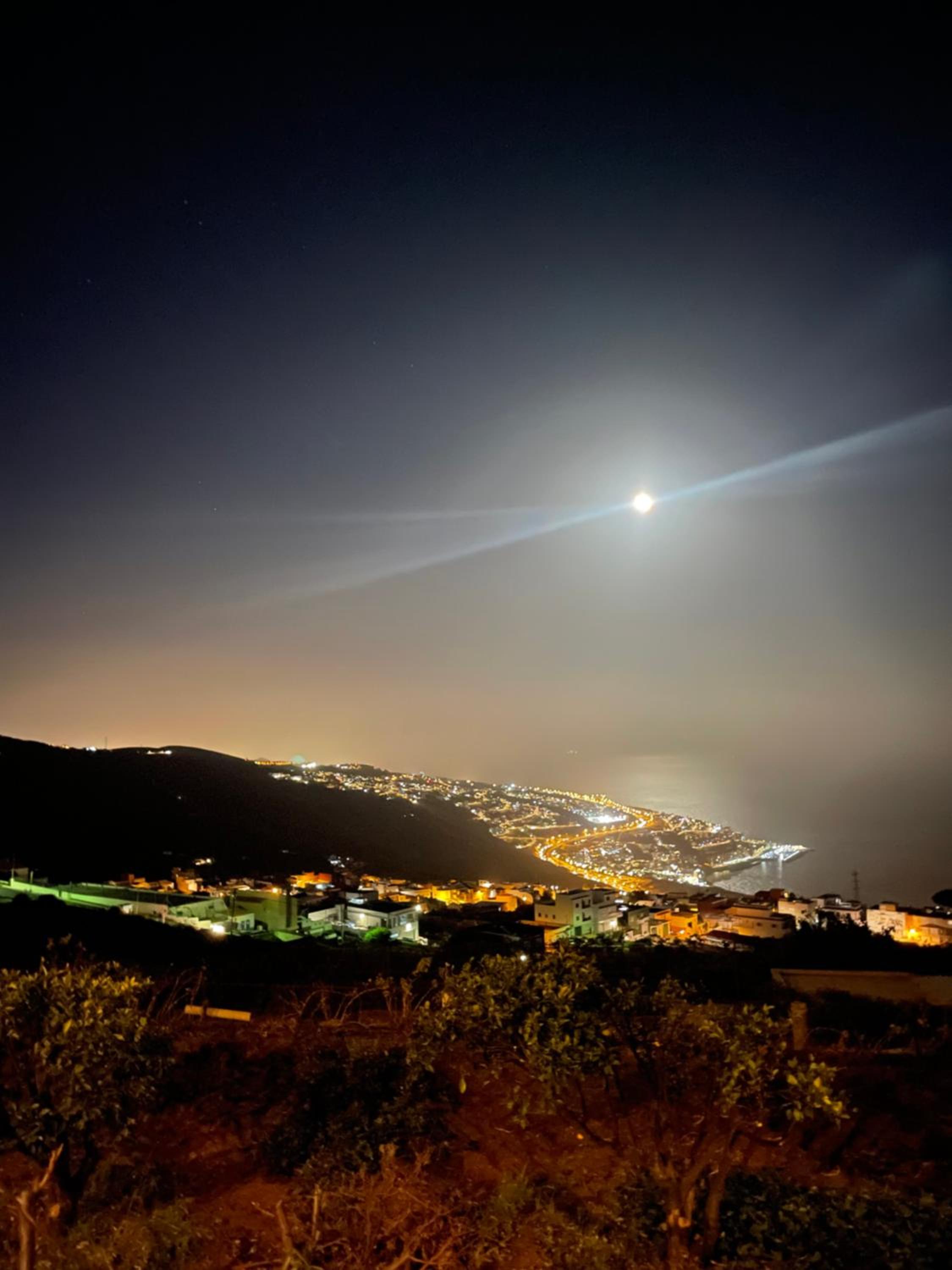 PANORAMIC Tabaiba