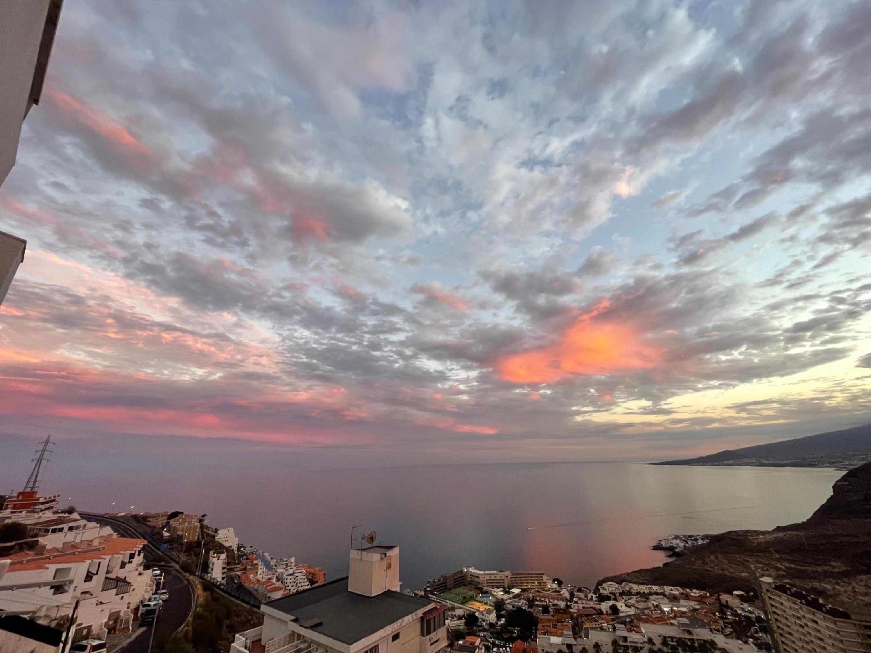 PANORAMIC Tabaiba