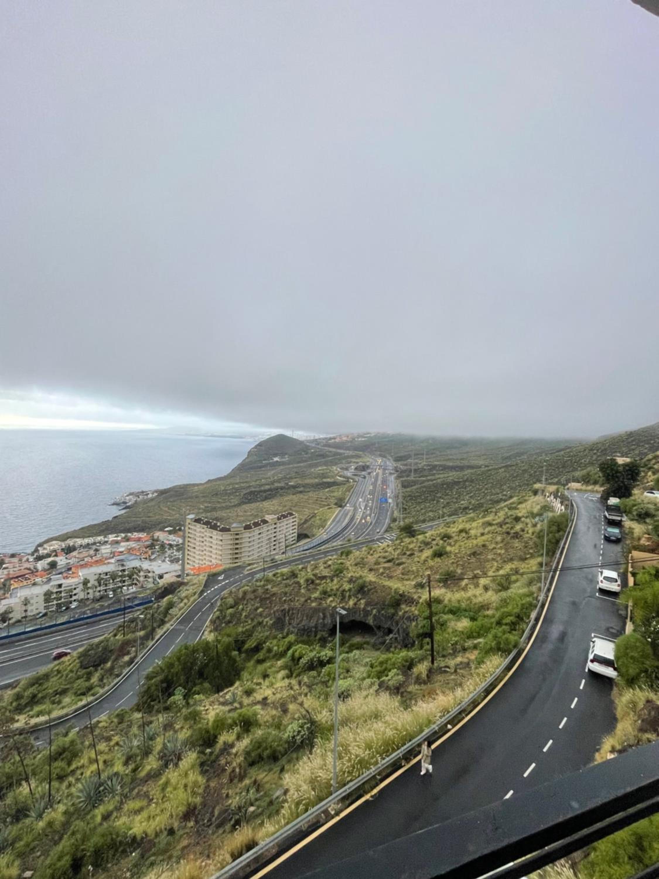 PANORAMIC Tabaiba
