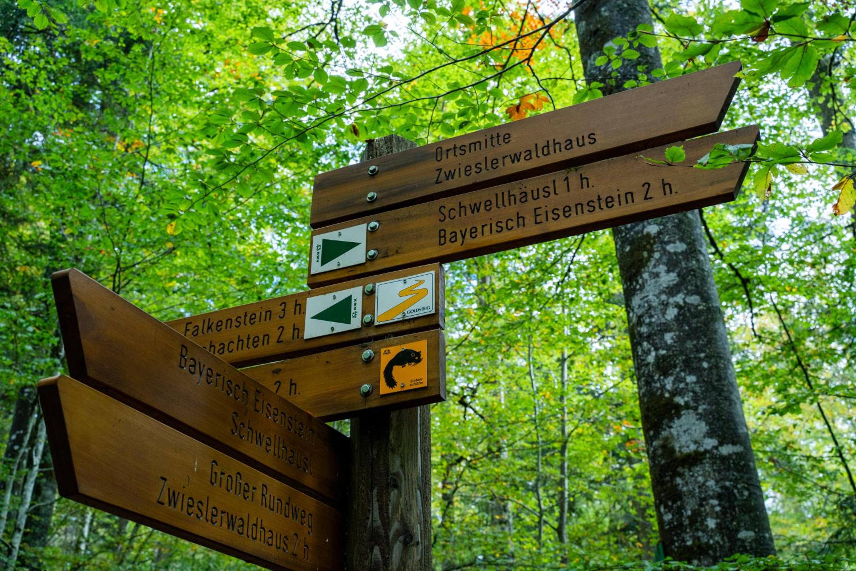 Großer Arber, Wandern & Sauna, Gemütliches Apartment im Nationalpark Bayerischen Wald